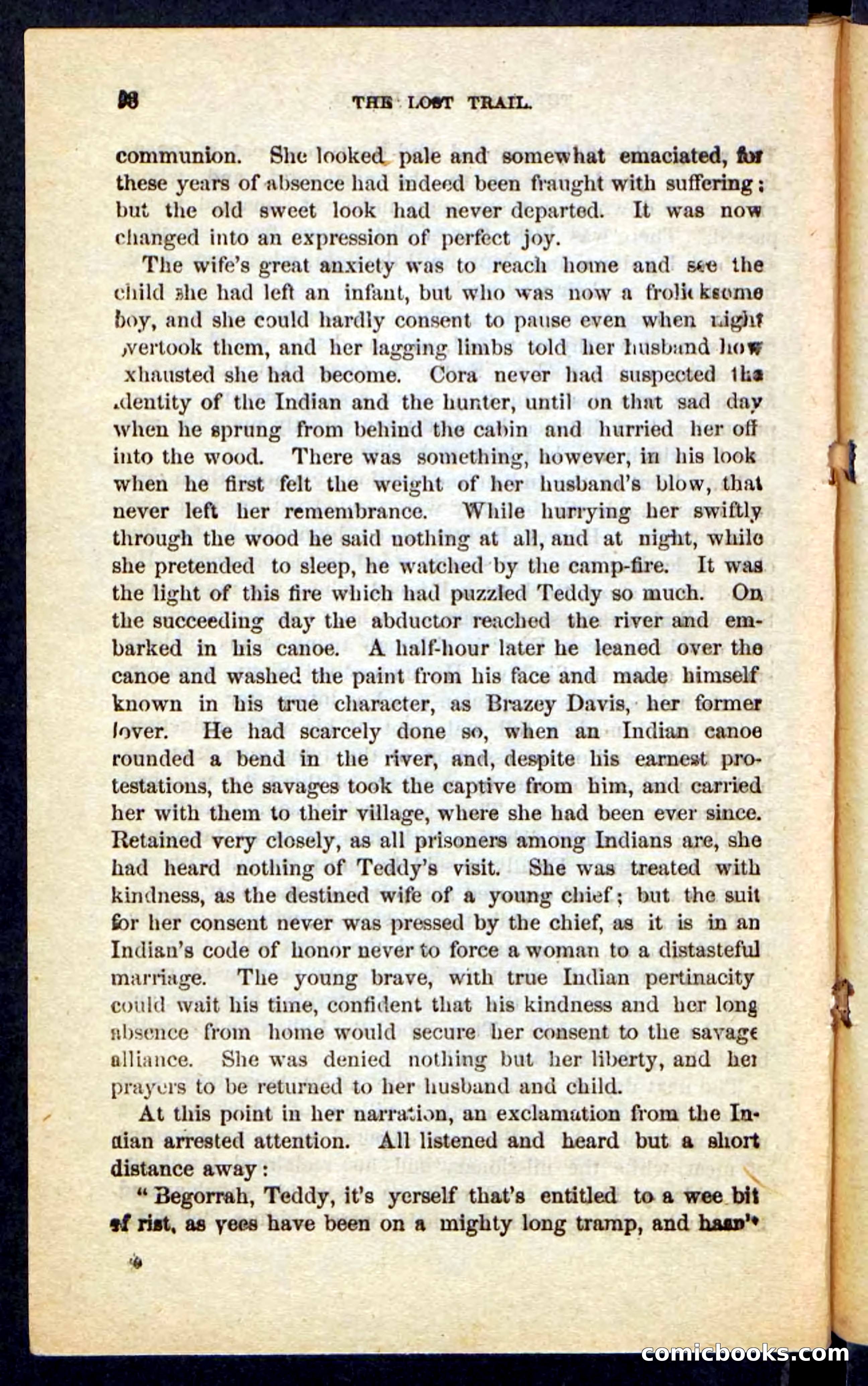 The Long Trail — page 94 of 100