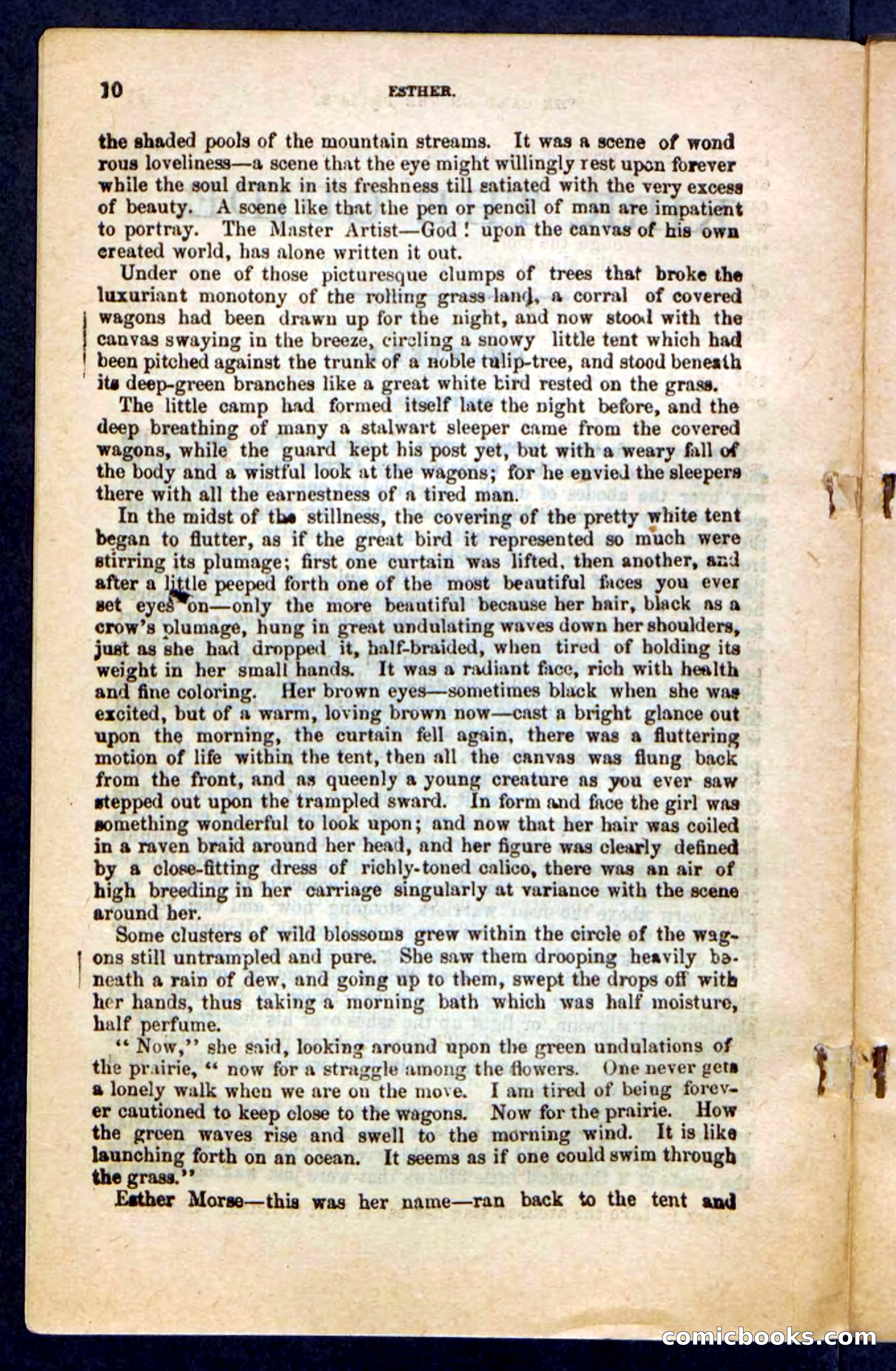 Kirk, the Guide — page 6 of 100