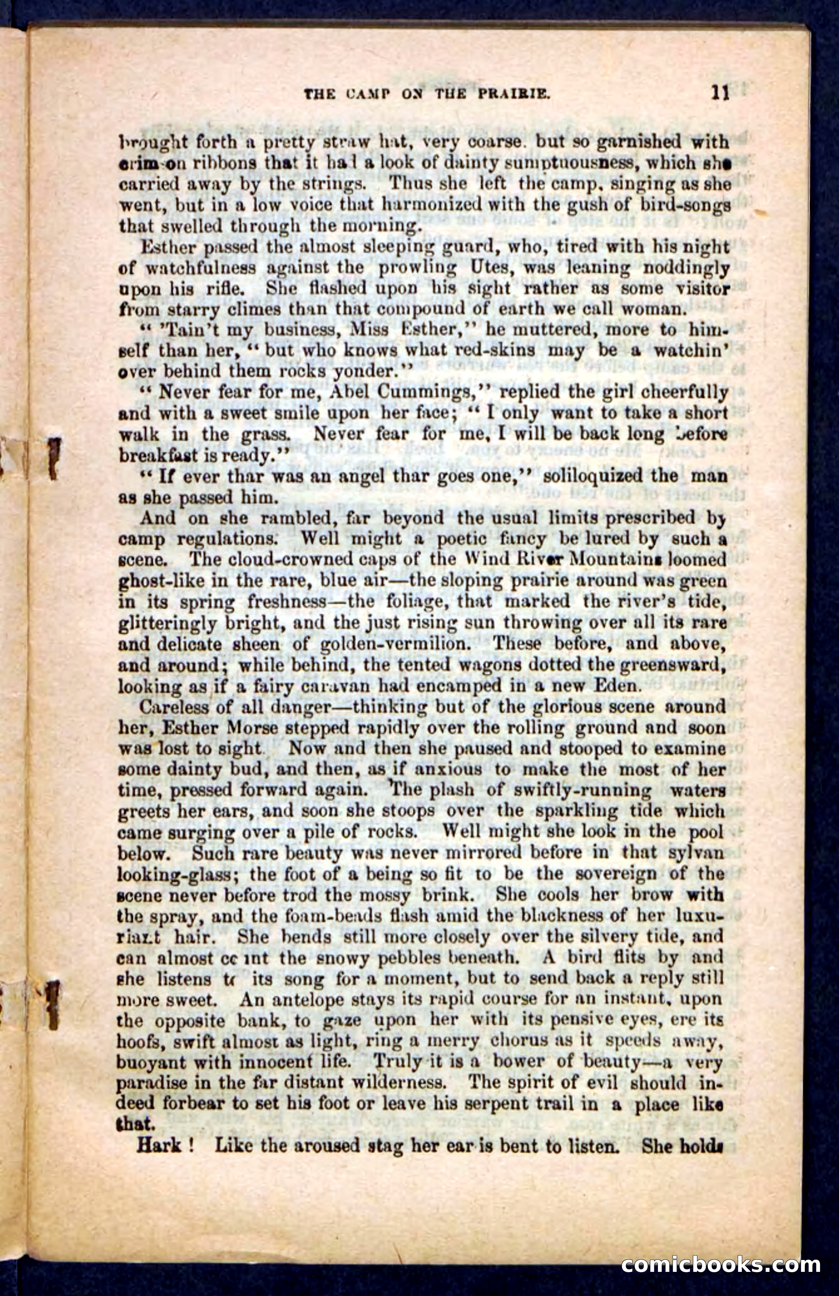 Kirk, the Guide — page 7 of 100