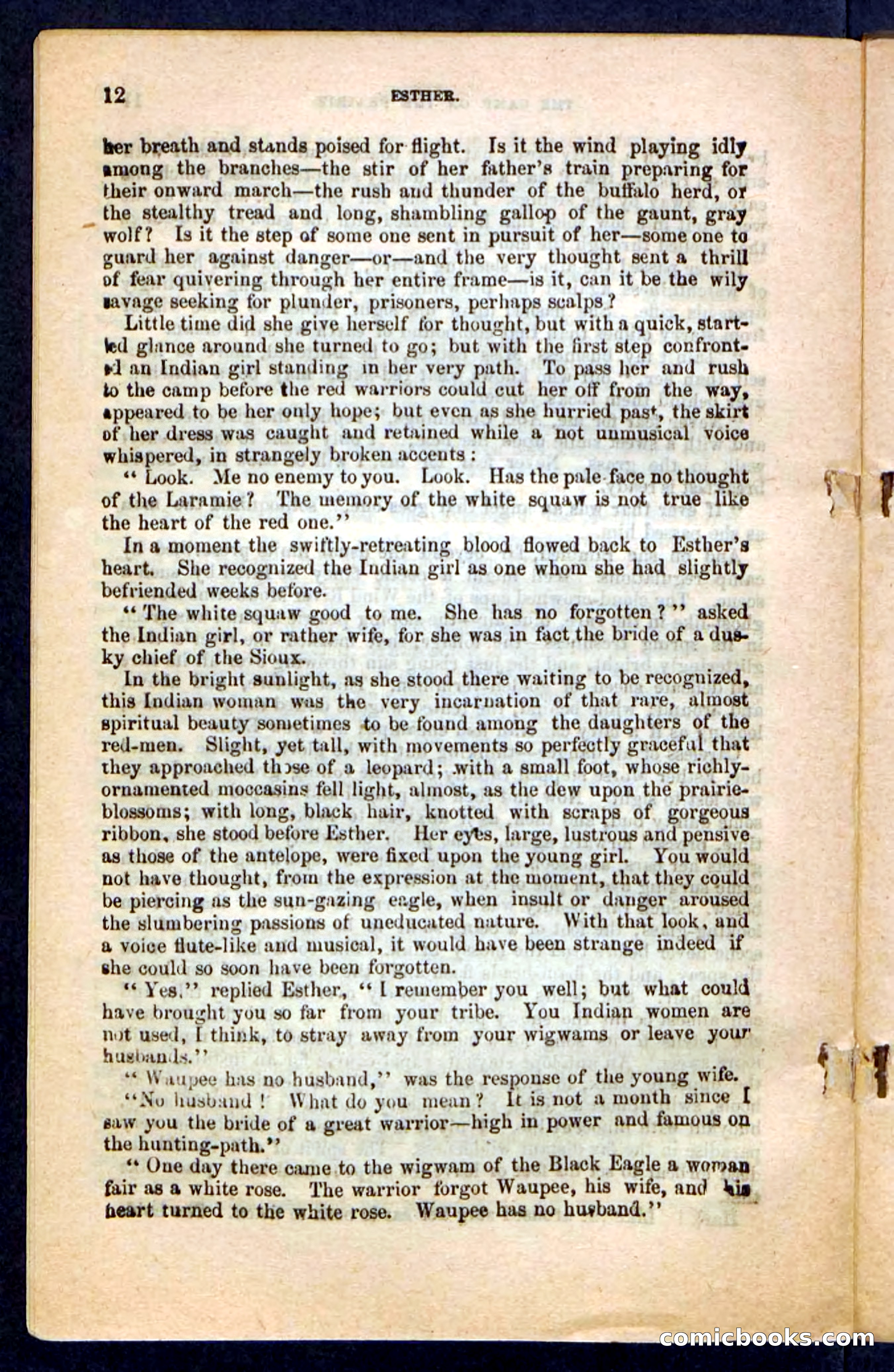 Kirk, the Guide — page 8 of 100