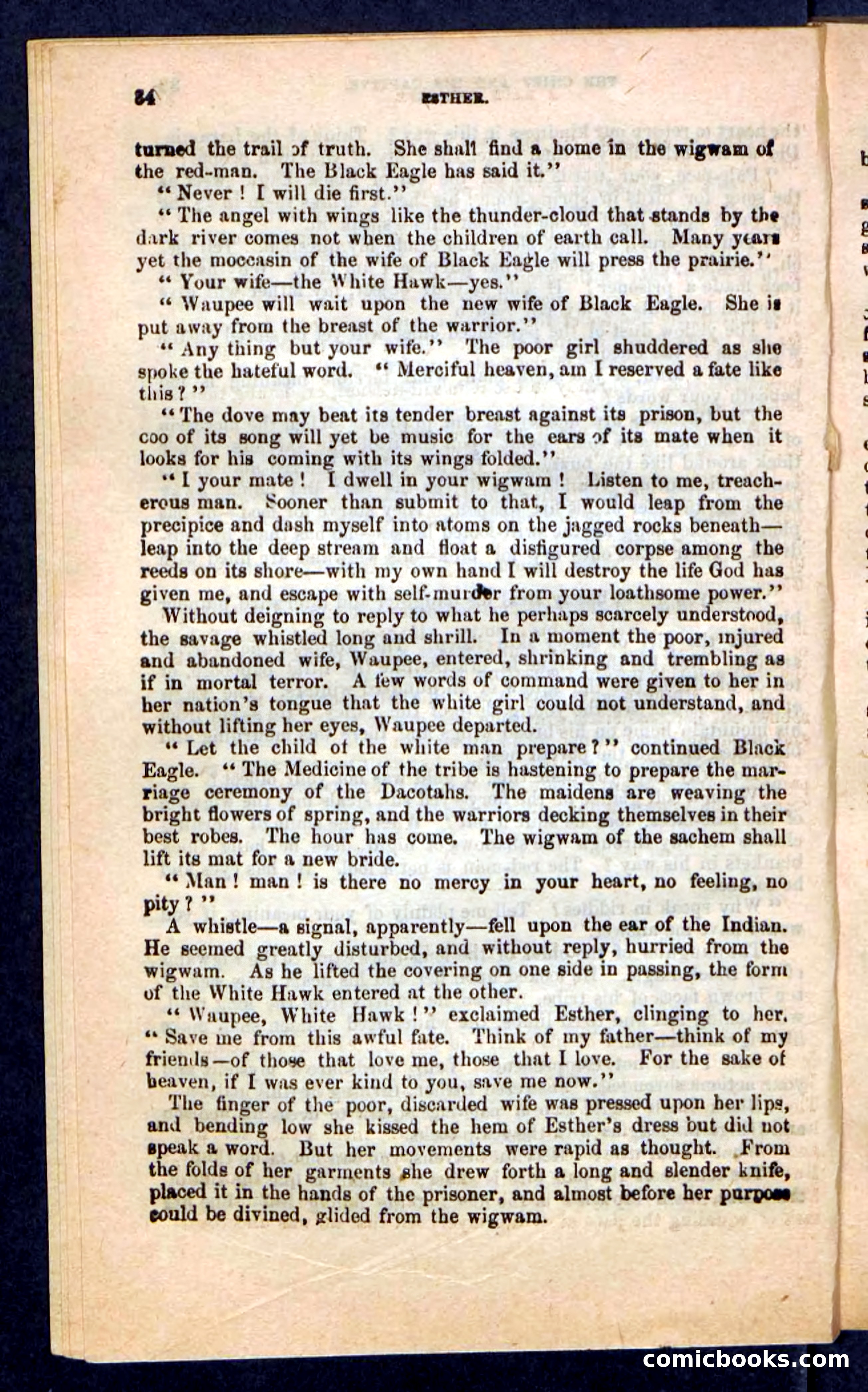 Kirk, the Guide — page 30 of 100