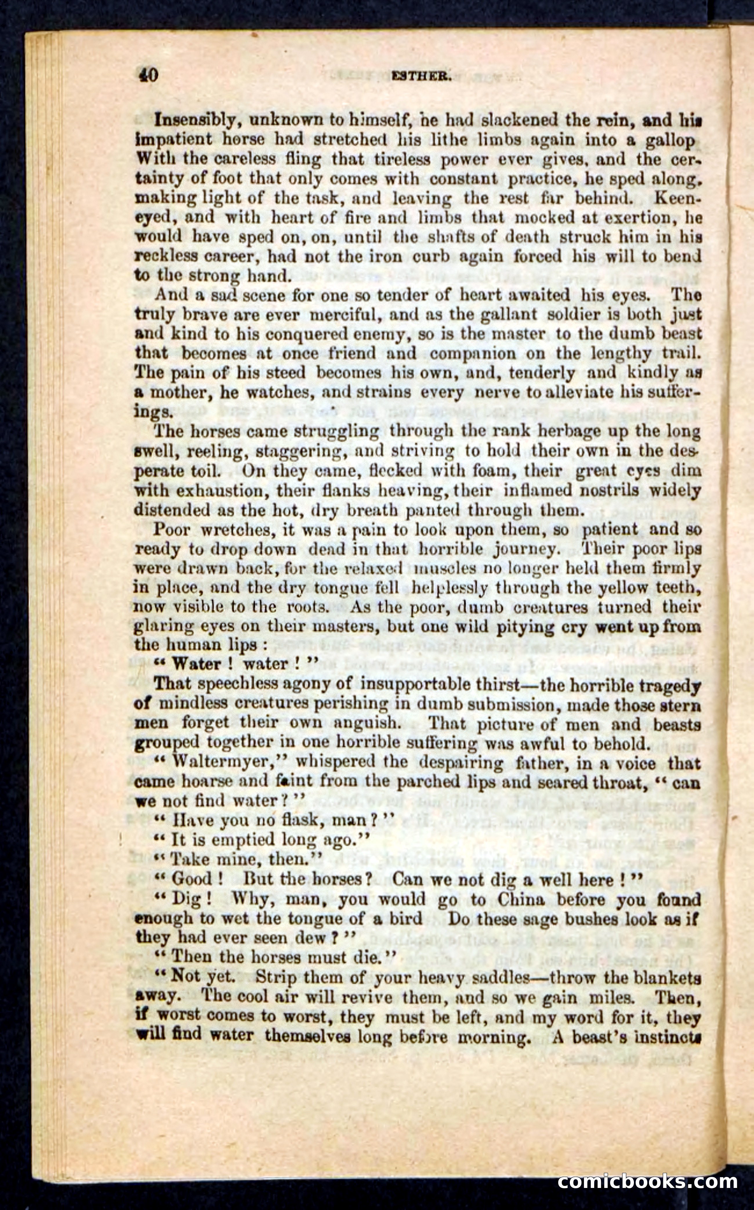 Kirk, the Guide — page 36 of 100