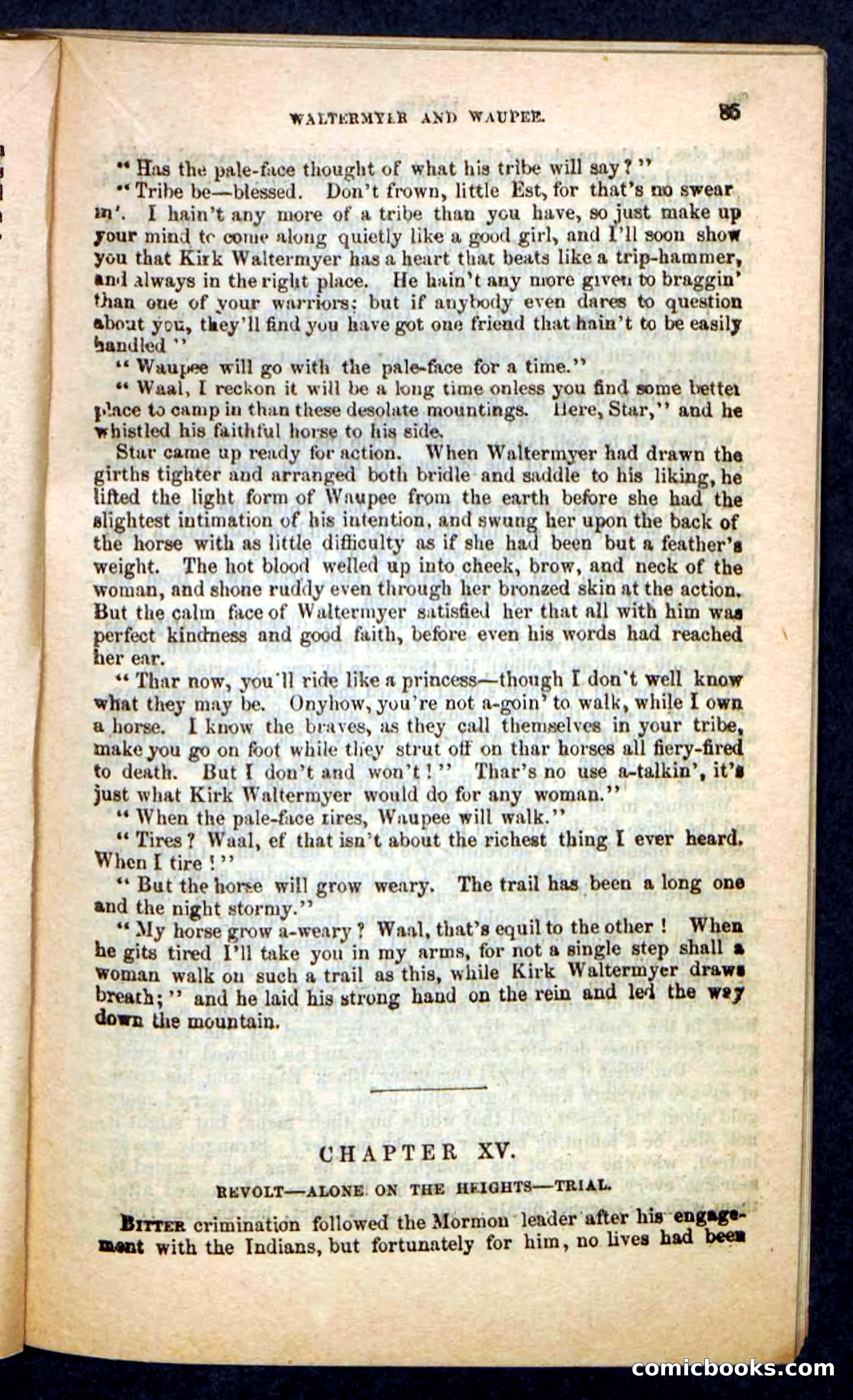 Kirk, the Guide — page 81 of 100