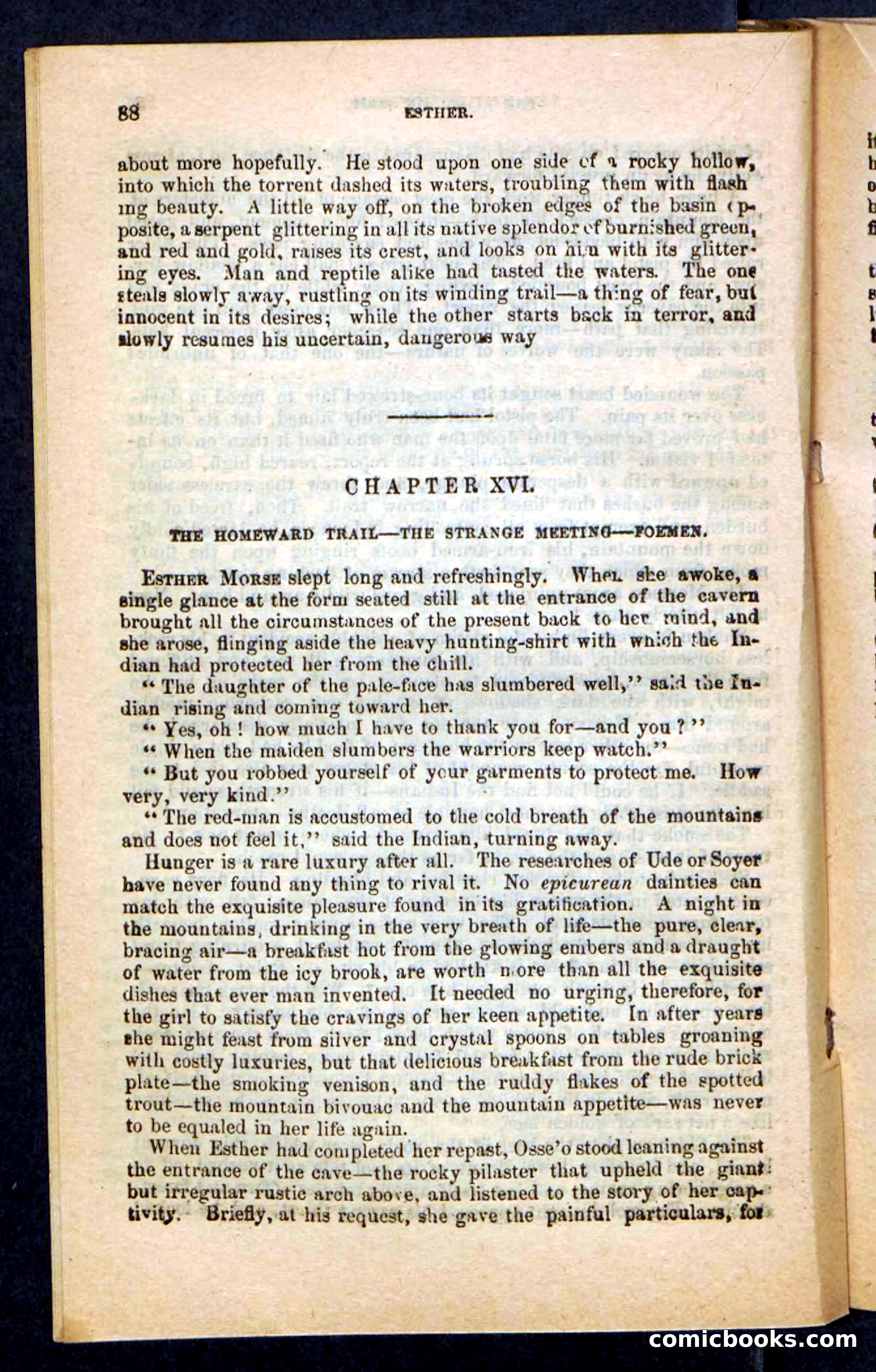 Kirk, the Guide — page 84 of 100