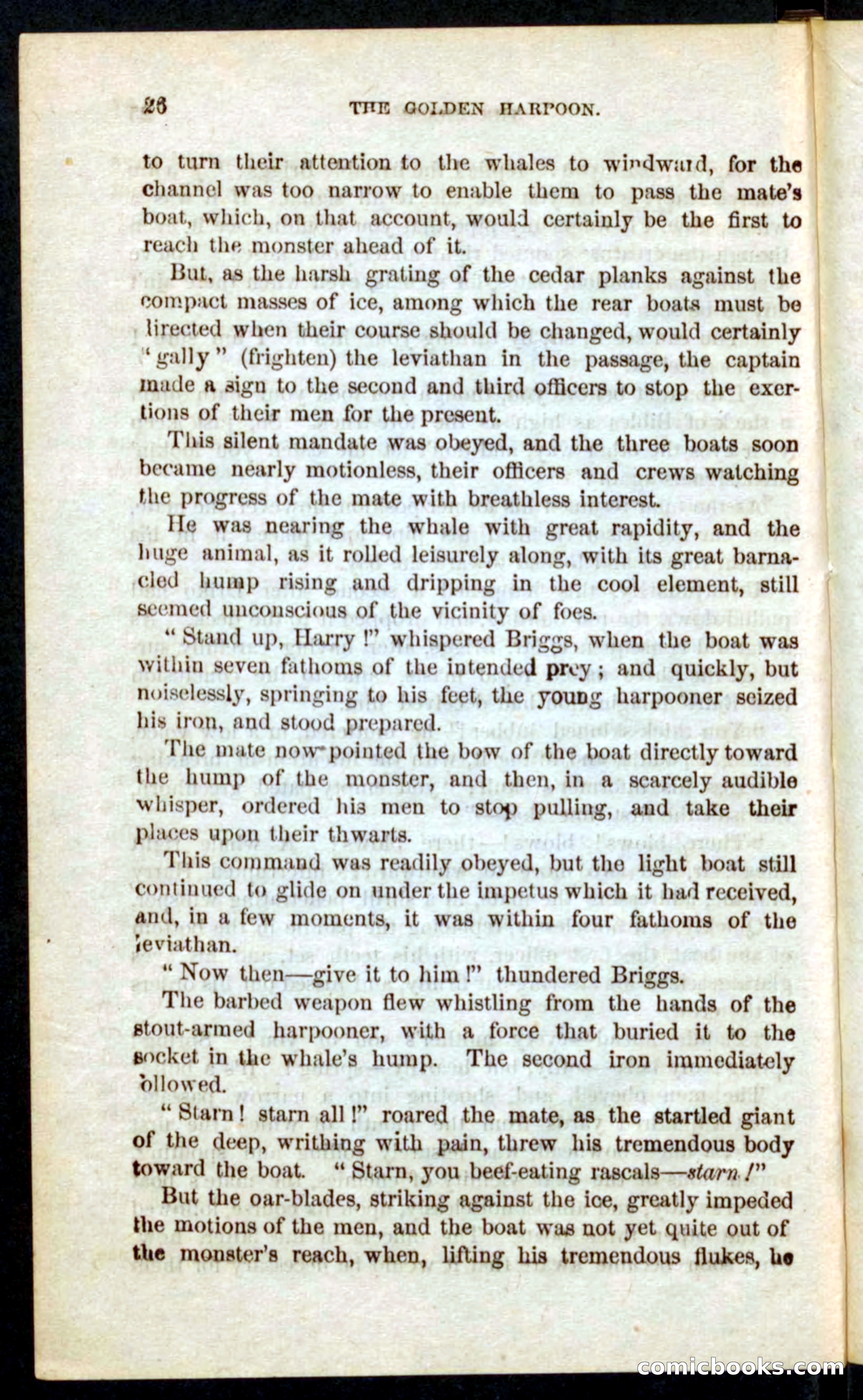 The Golden Harpoon — page 22 of 100