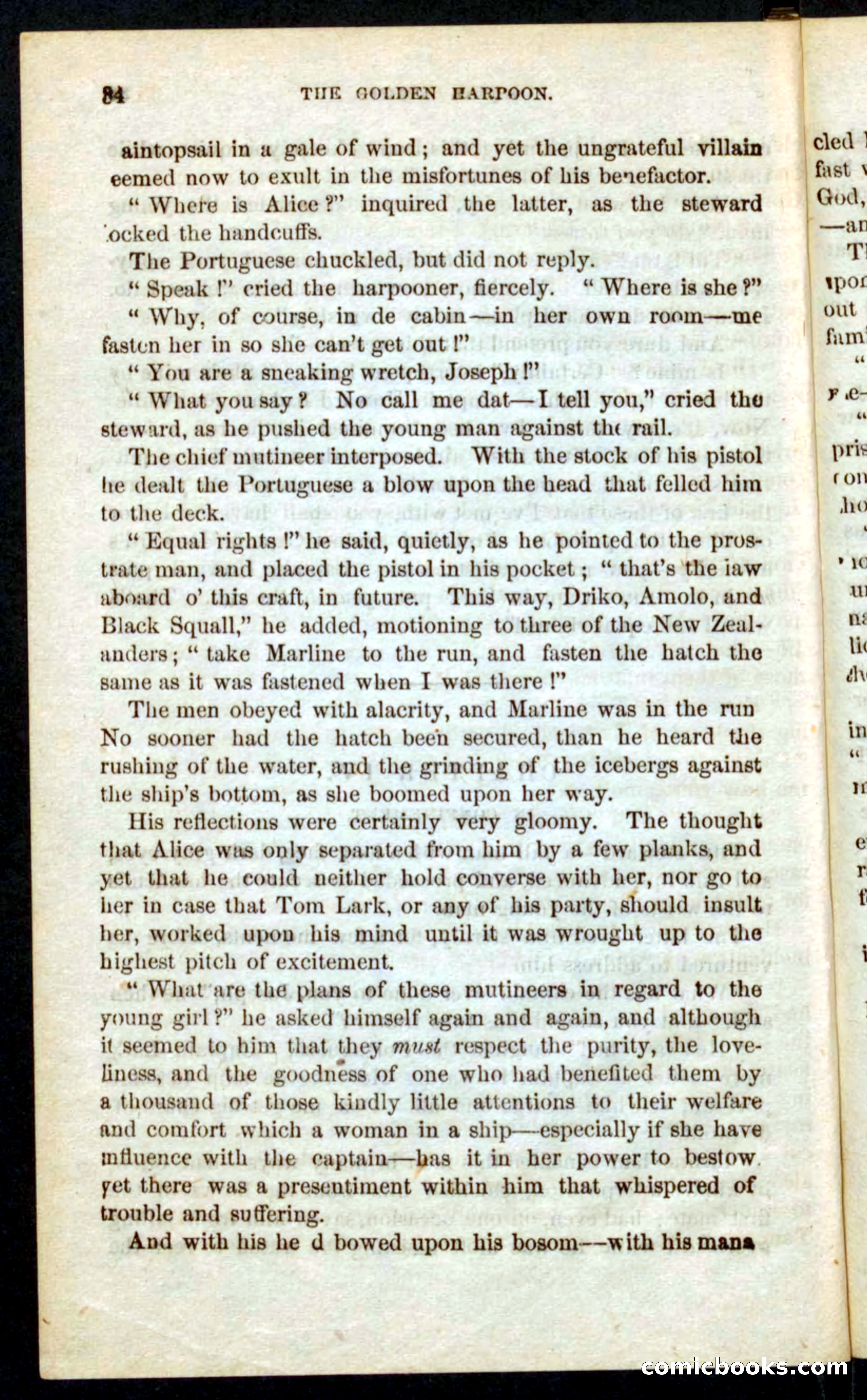 The Golden Harpoon — page 30 of 100