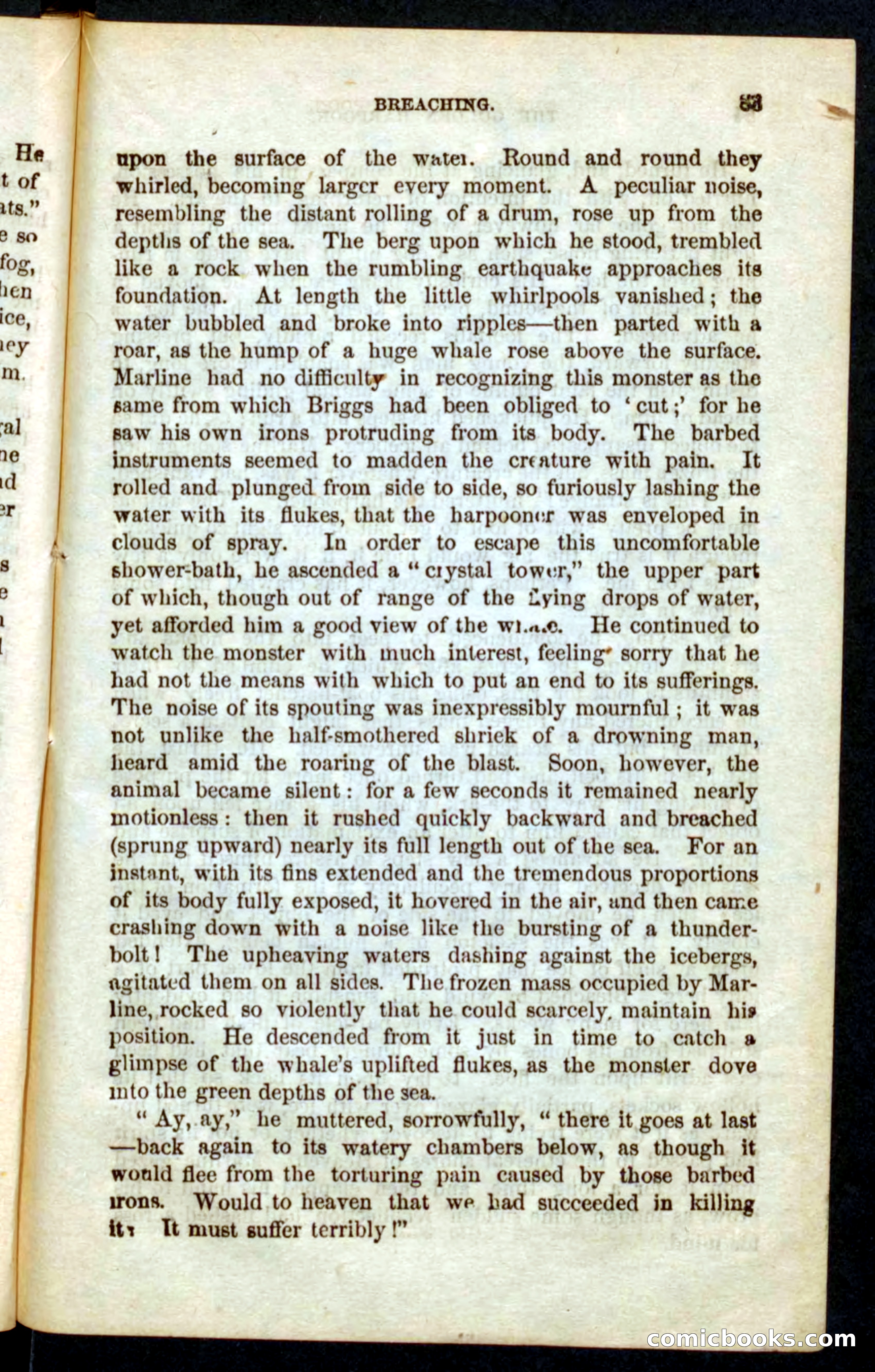 The Golden Harpoon — page 79 of 100