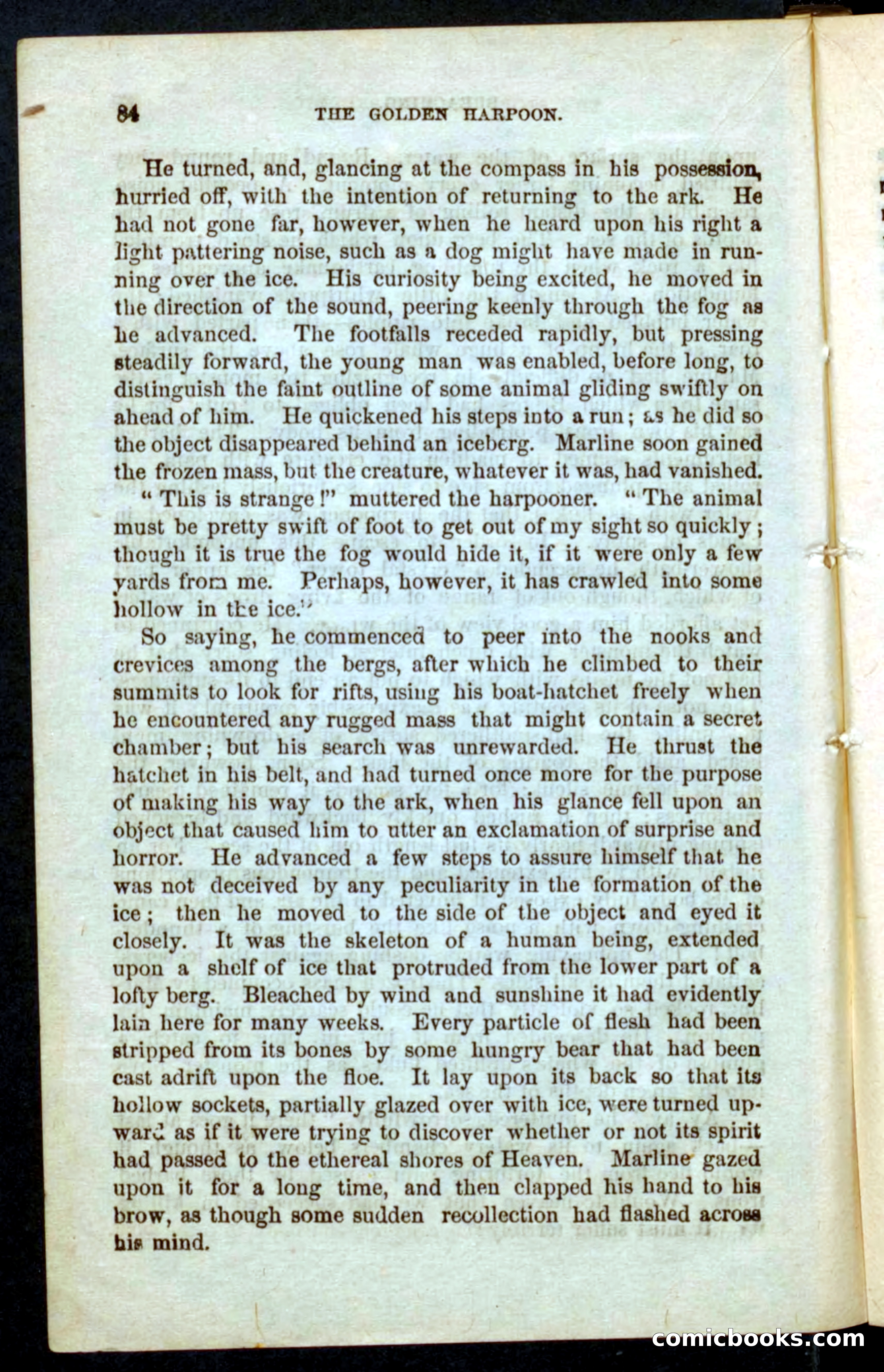 The Golden Harpoon — page 80 of 100