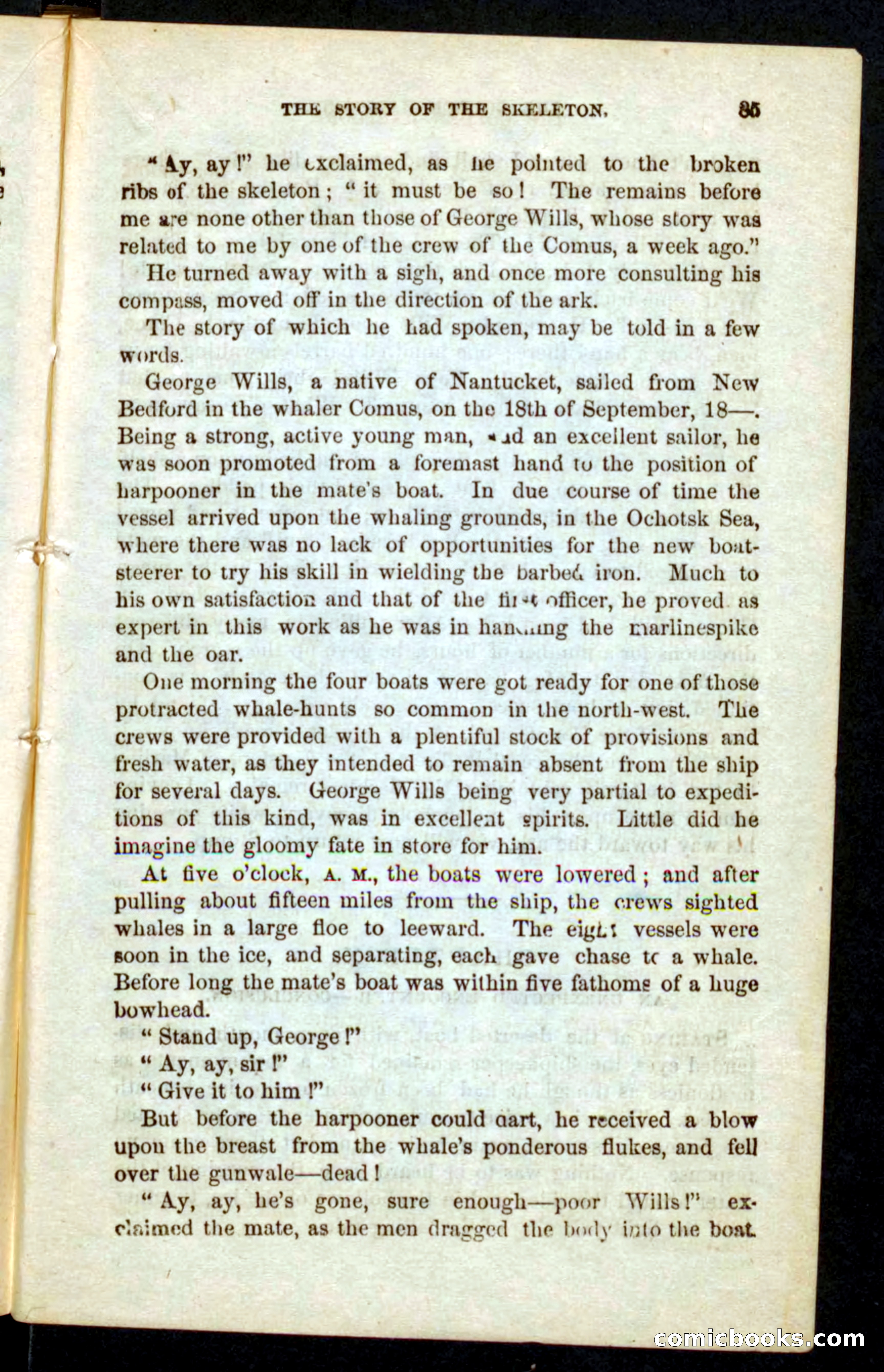 The Golden Harpoon — page 81 of 100