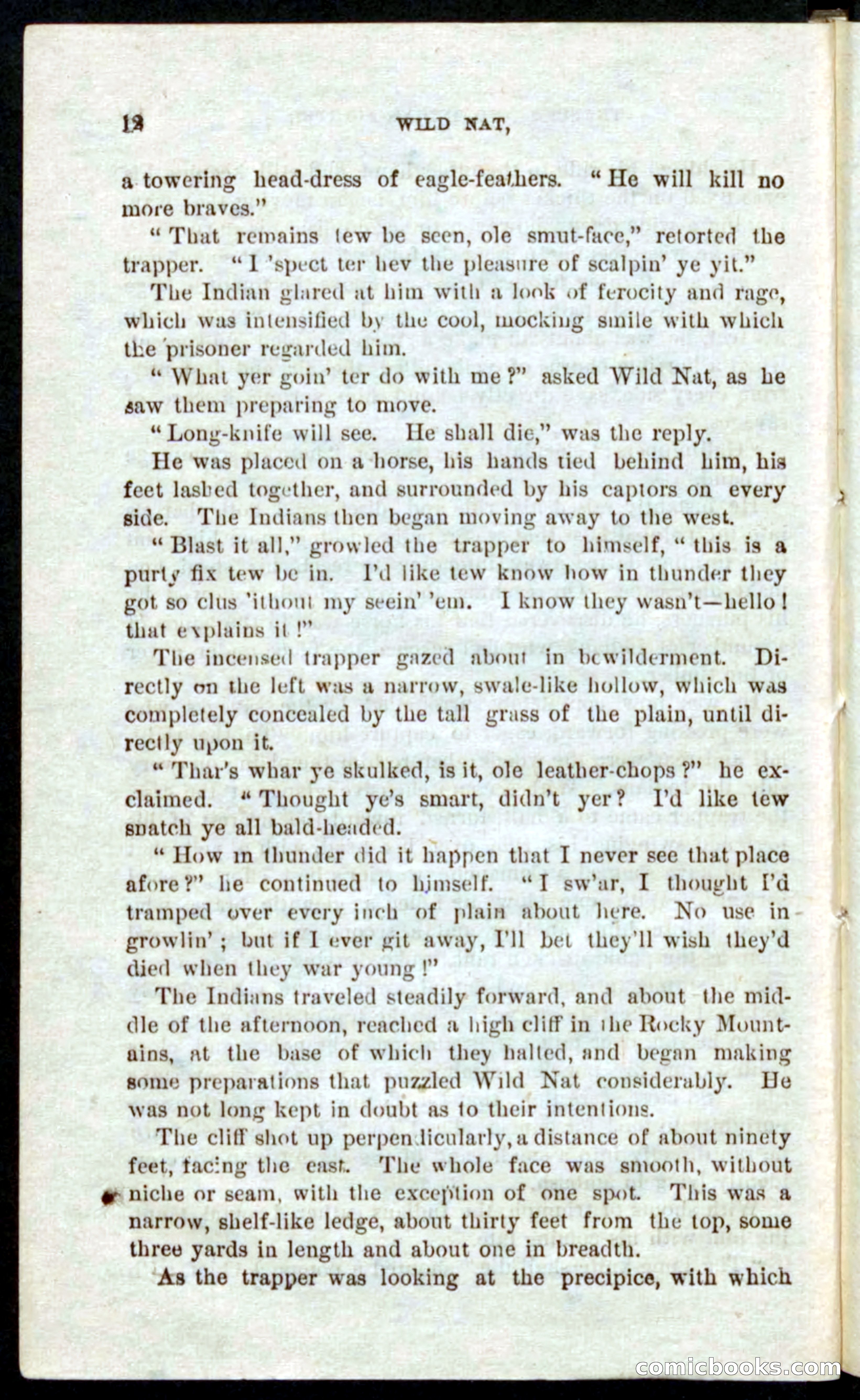 Beadle's Pocket Novels No. 41: Nat, the Trapper — page 8 of 84