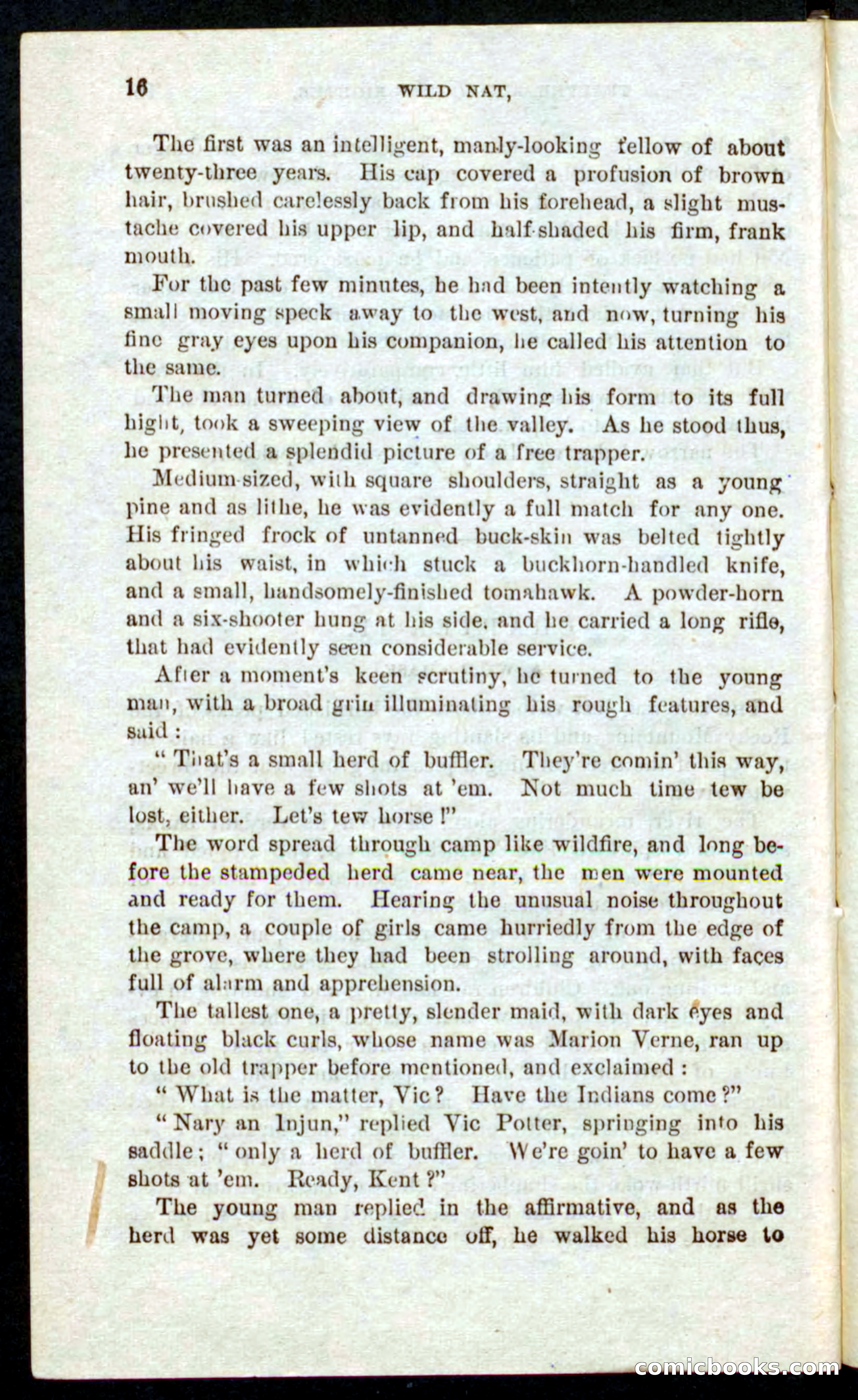Beadle's Pocket Novels No. 41: Nat, the Trapper — page 12 of 84