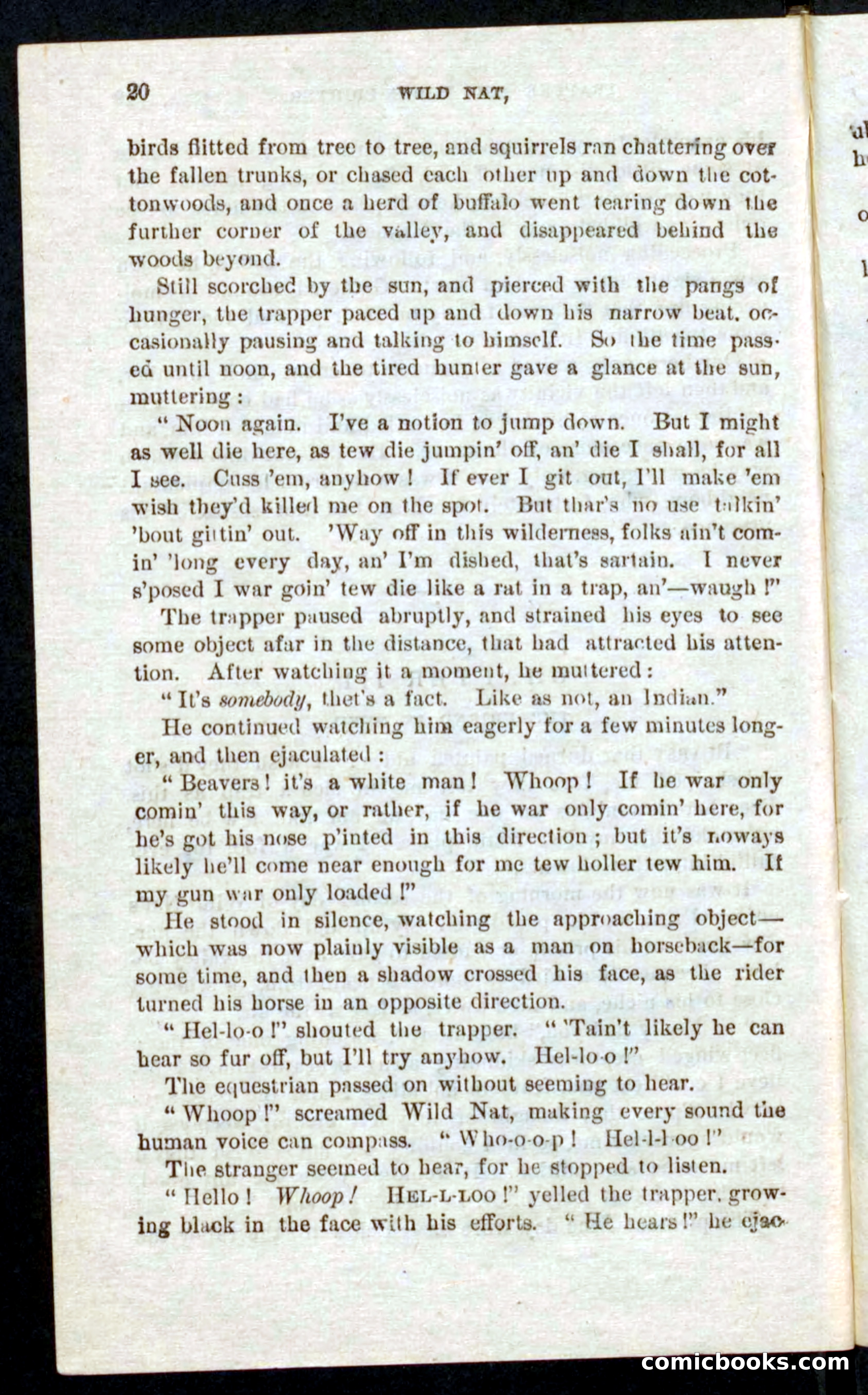 Beadle's Pocket Novels No. 41: Nat, the Trapper — page 16 of 84