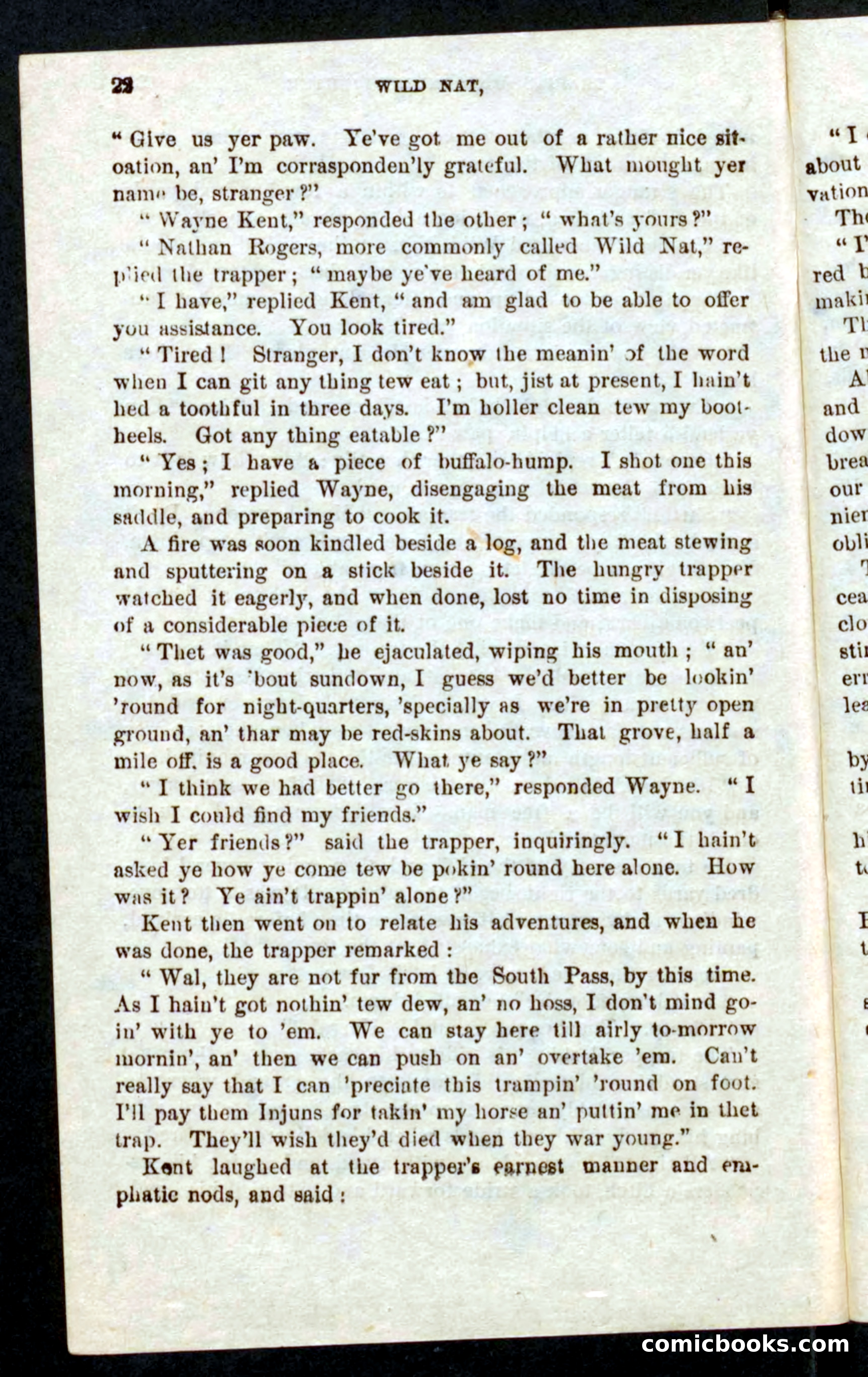 Beadle's Pocket Novels No. 41: Nat, the Trapper — page 18 of 84