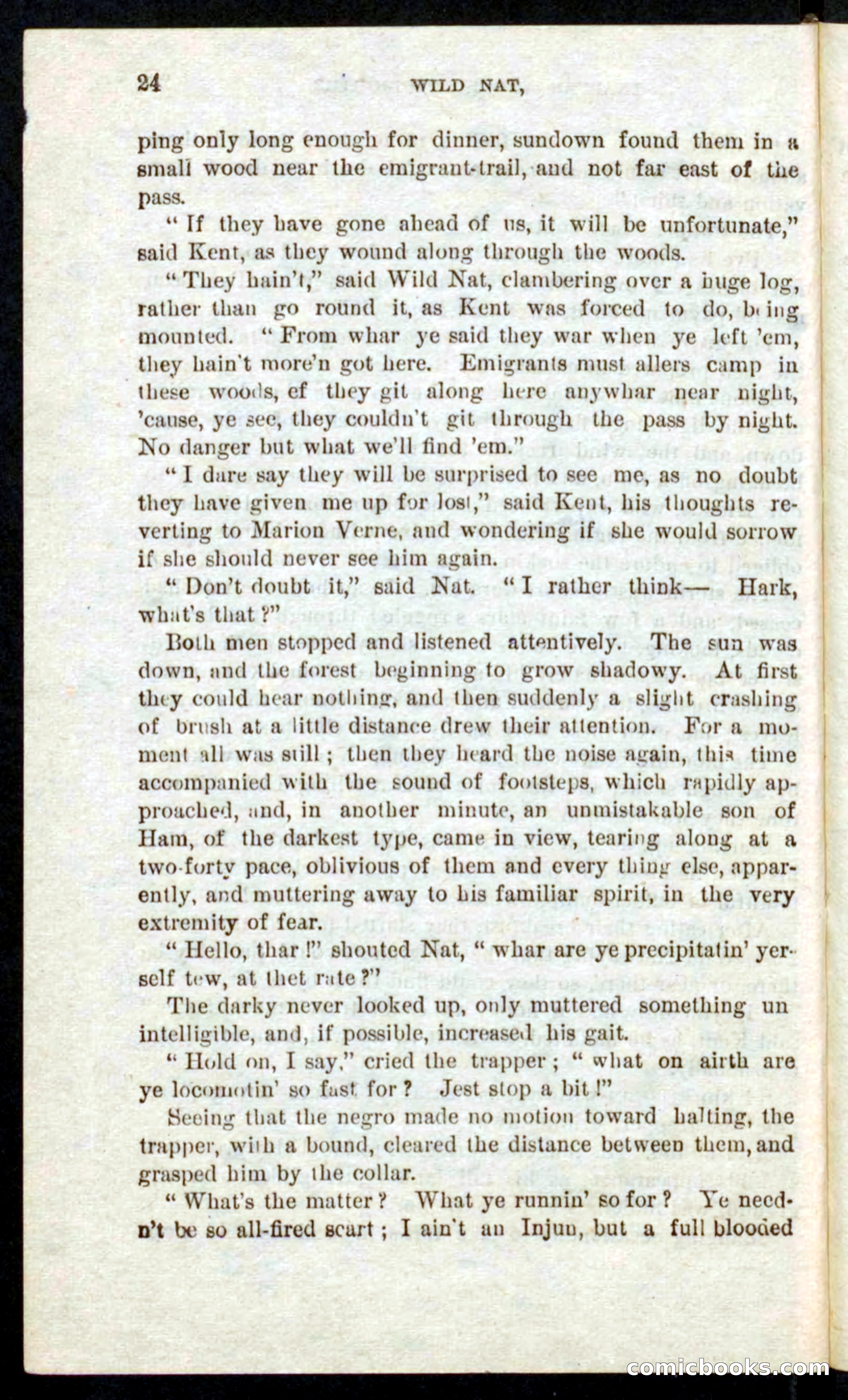 Beadle's Pocket Novels No. 41: Nat, the Trapper — page 20 of 84
