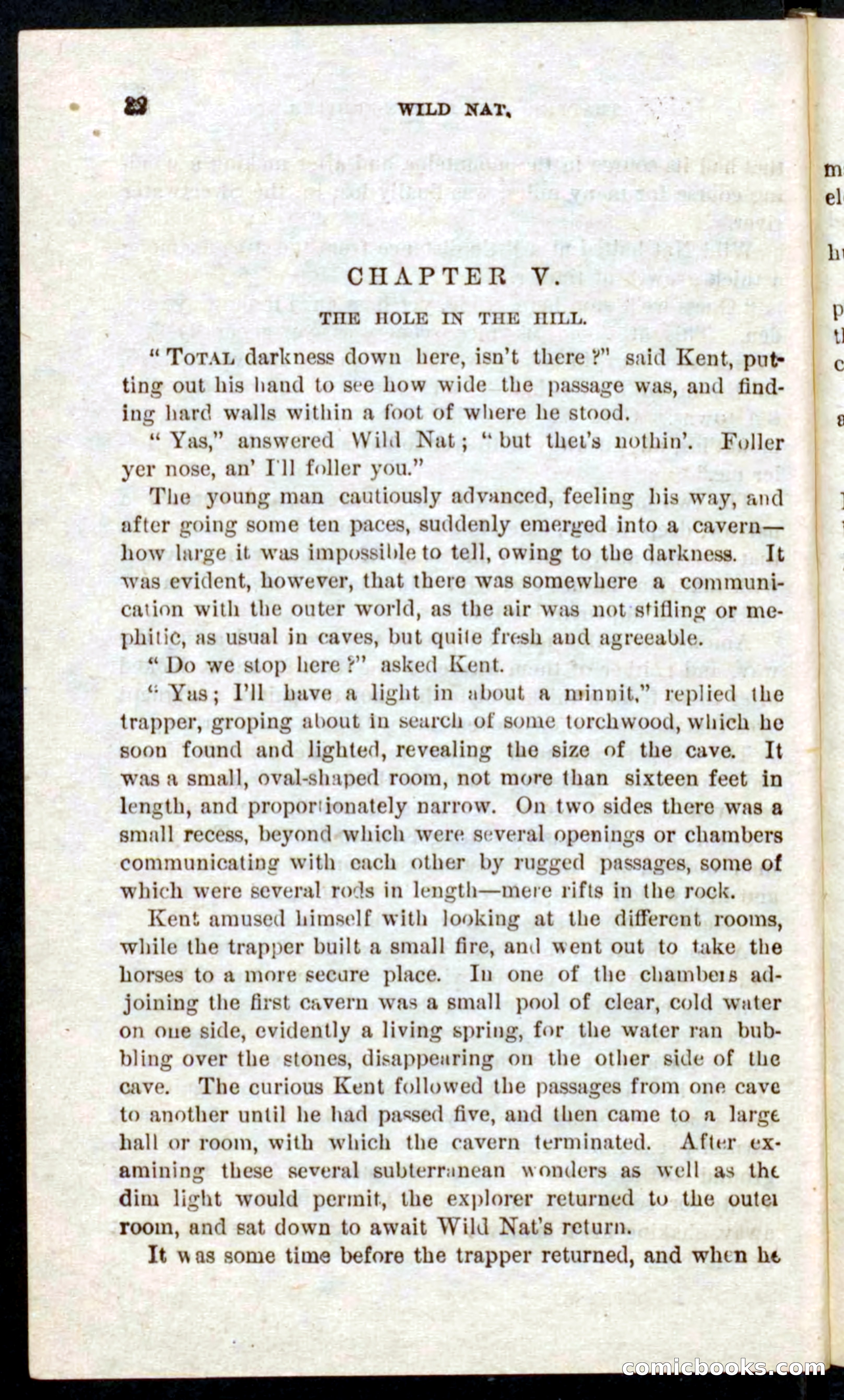 Beadle's Pocket Novels No. 41: Nat, the Trapper — page 28 of 84