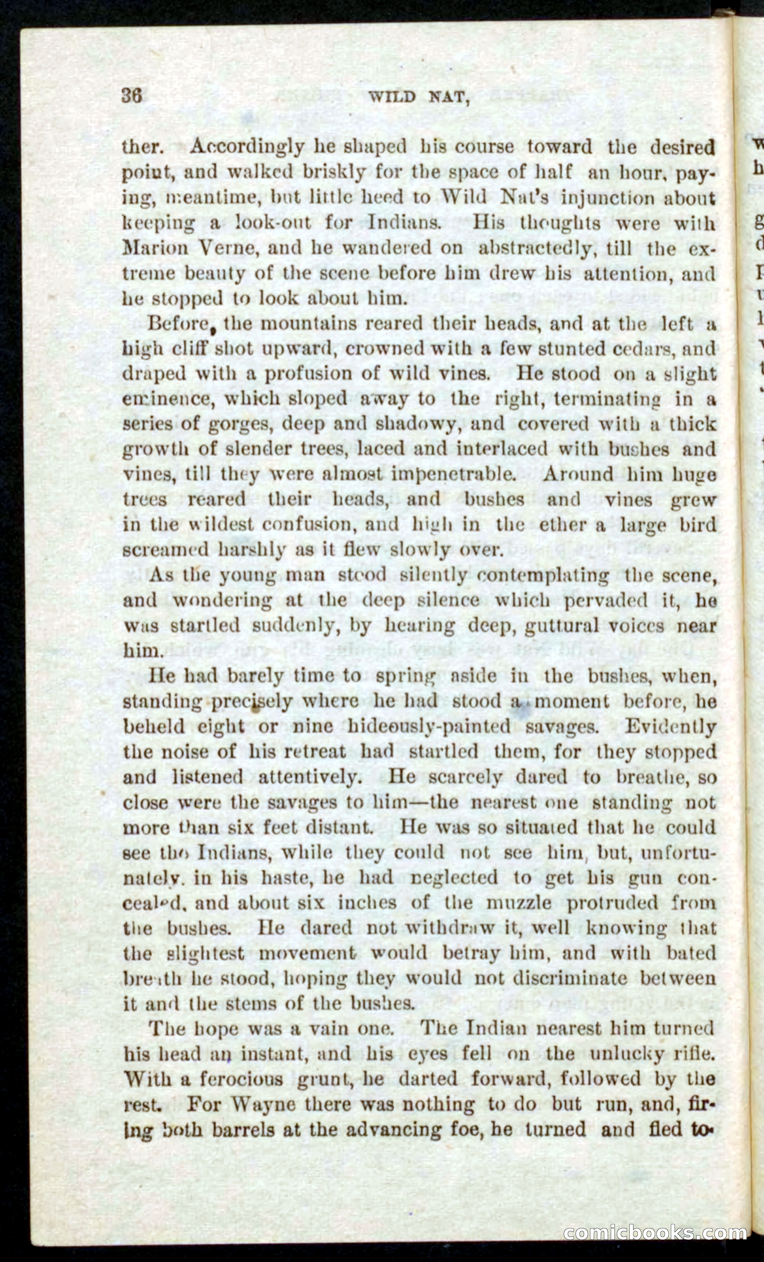 Beadle's Pocket Novels No. 41: Nat, the Trapper — page 32 of 84