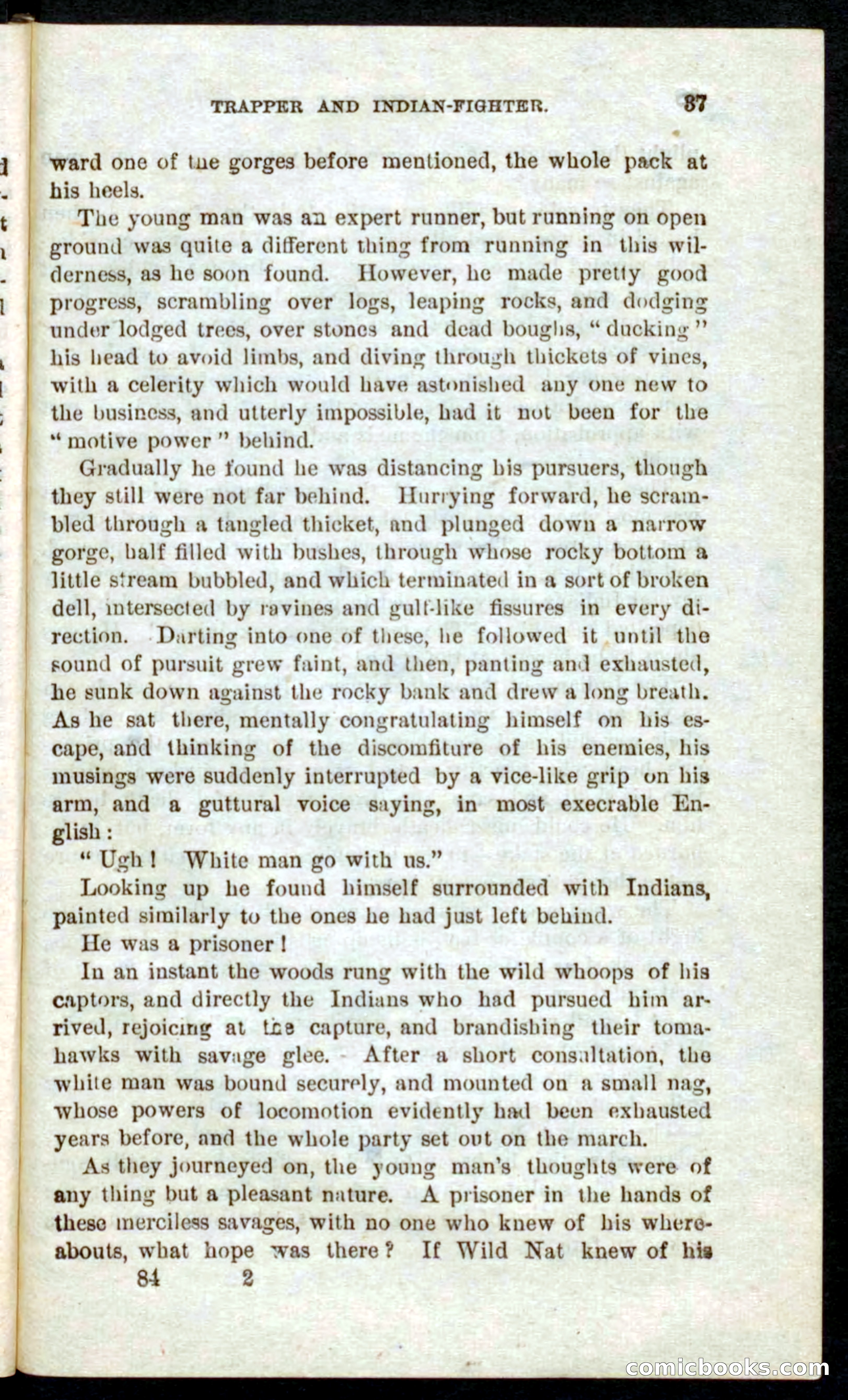 Beadle's Pocket Novels No. 41: Nat, the Trapper — page 33 of 84