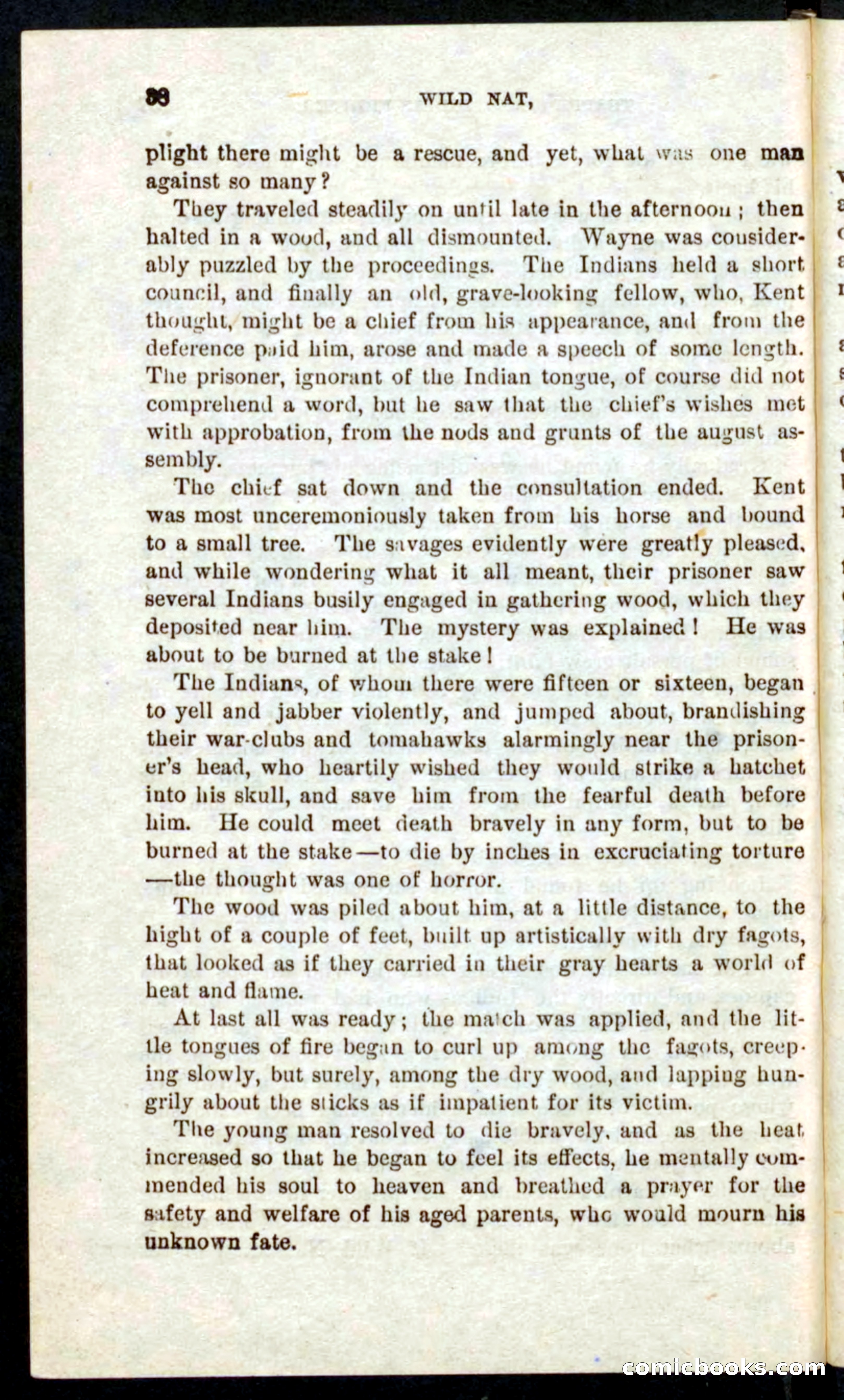 Beadle's Pocket Novels No. 41: Nat, the Trapper — page 34 of 84