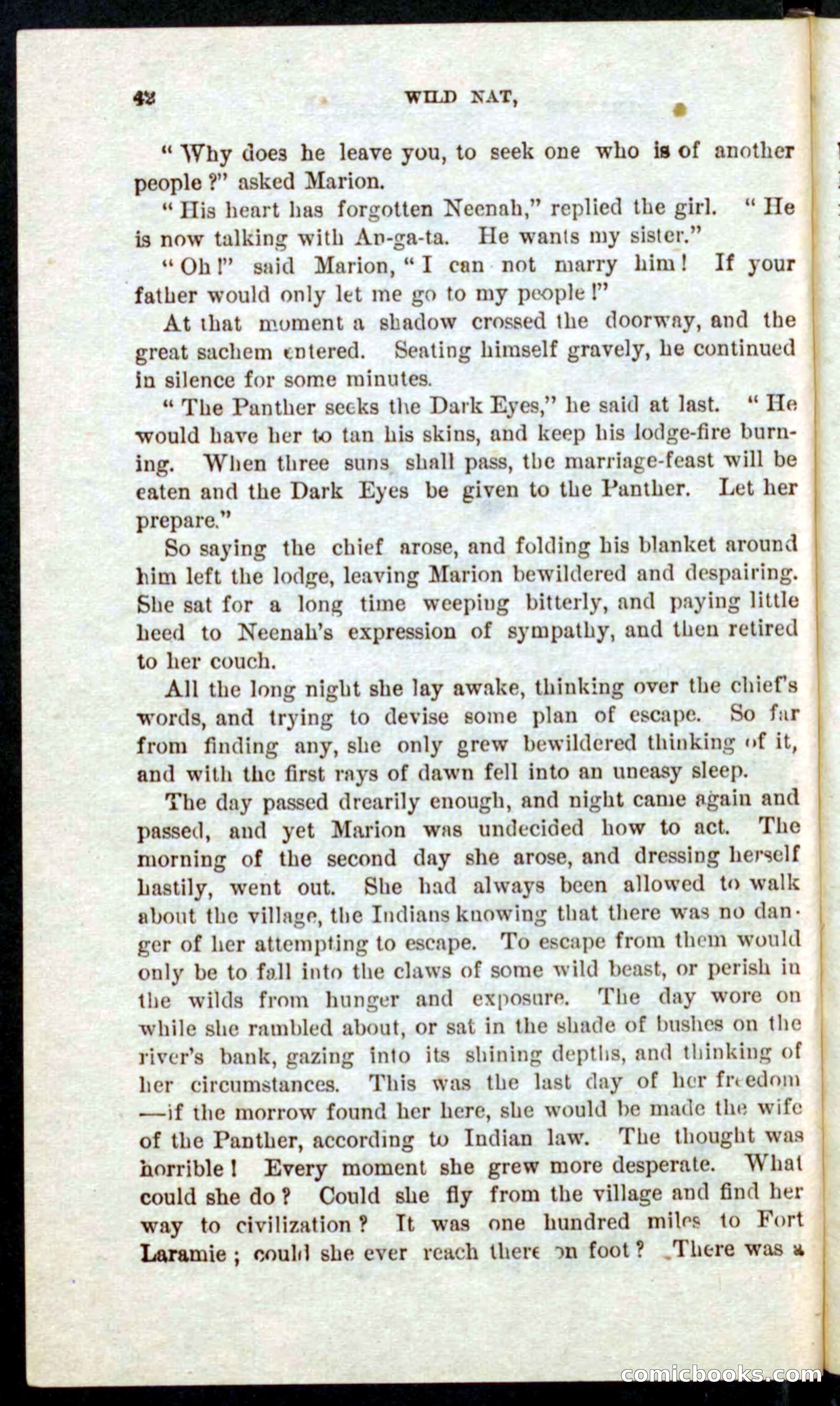 Beadle's Pocket Novels No. 41: Nat, the Trapper — page 38 of 84
