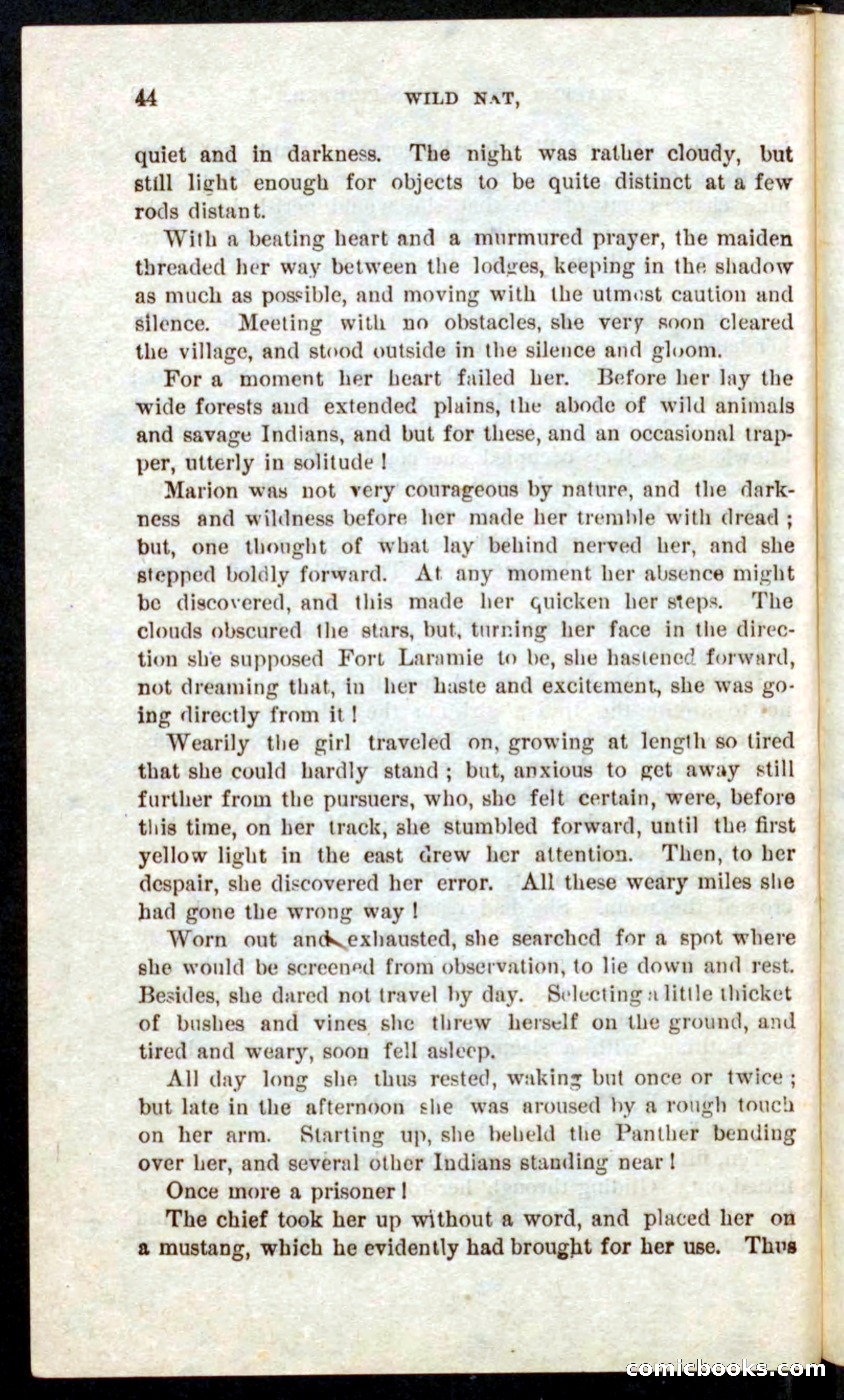 Beadle's Pocket Novels No. 41: Nat, the Trapper — page 40 of 84