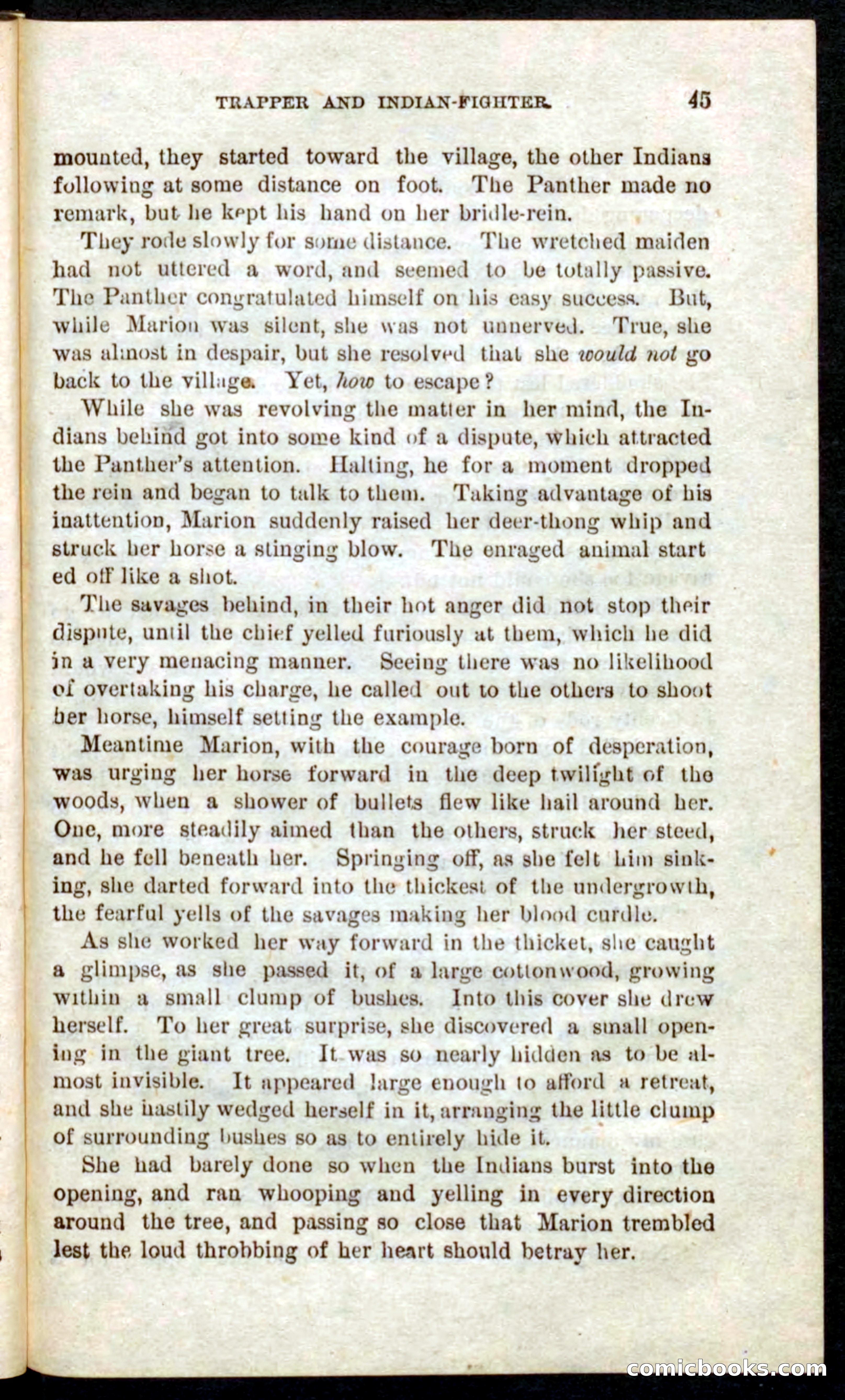 Beadle's Pocket Novels No. 41: Nat, the Trapper — page 41 of 84
