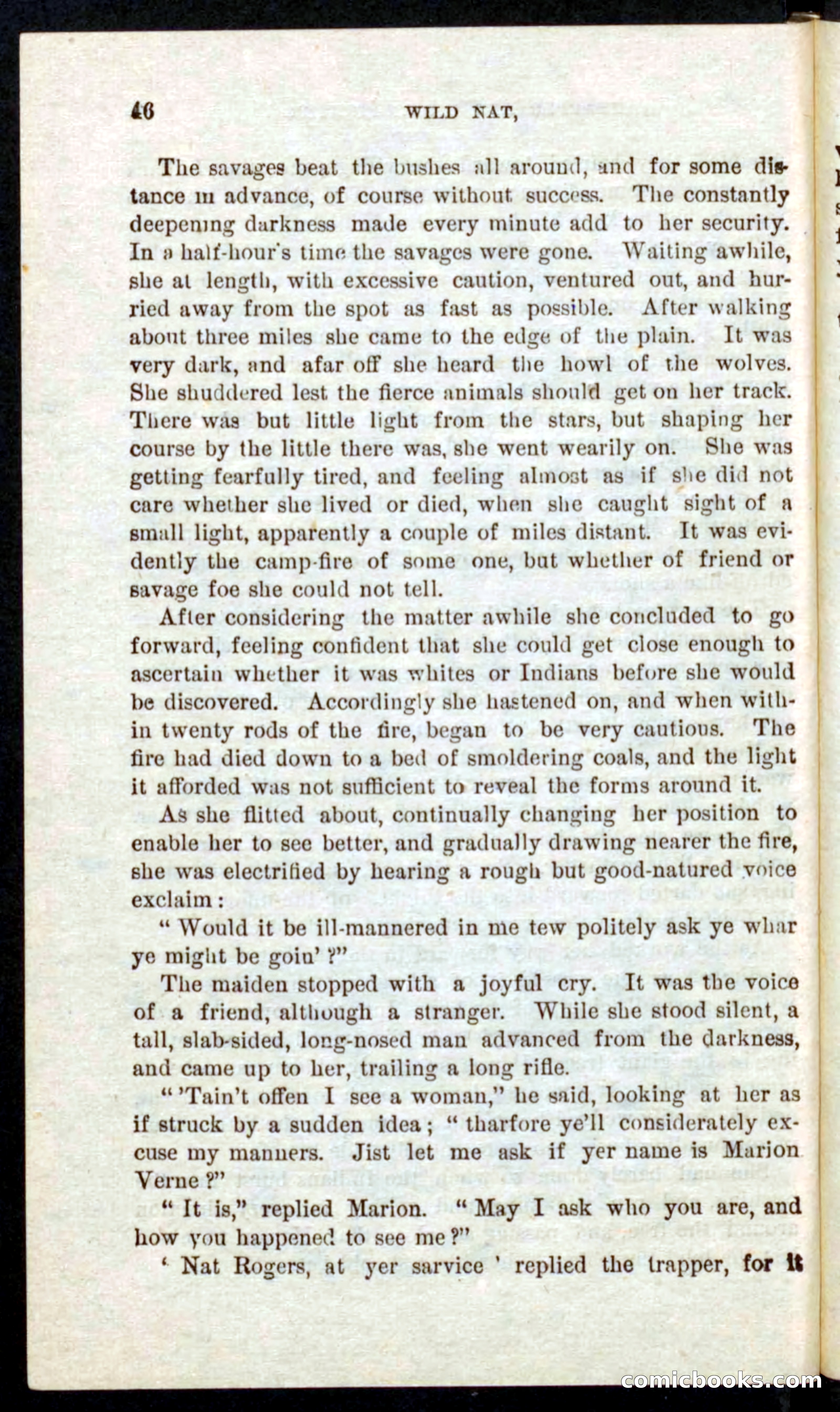 Beadle's Pocket Novels No. 41: Nat, the Trapper — page 42 of 84