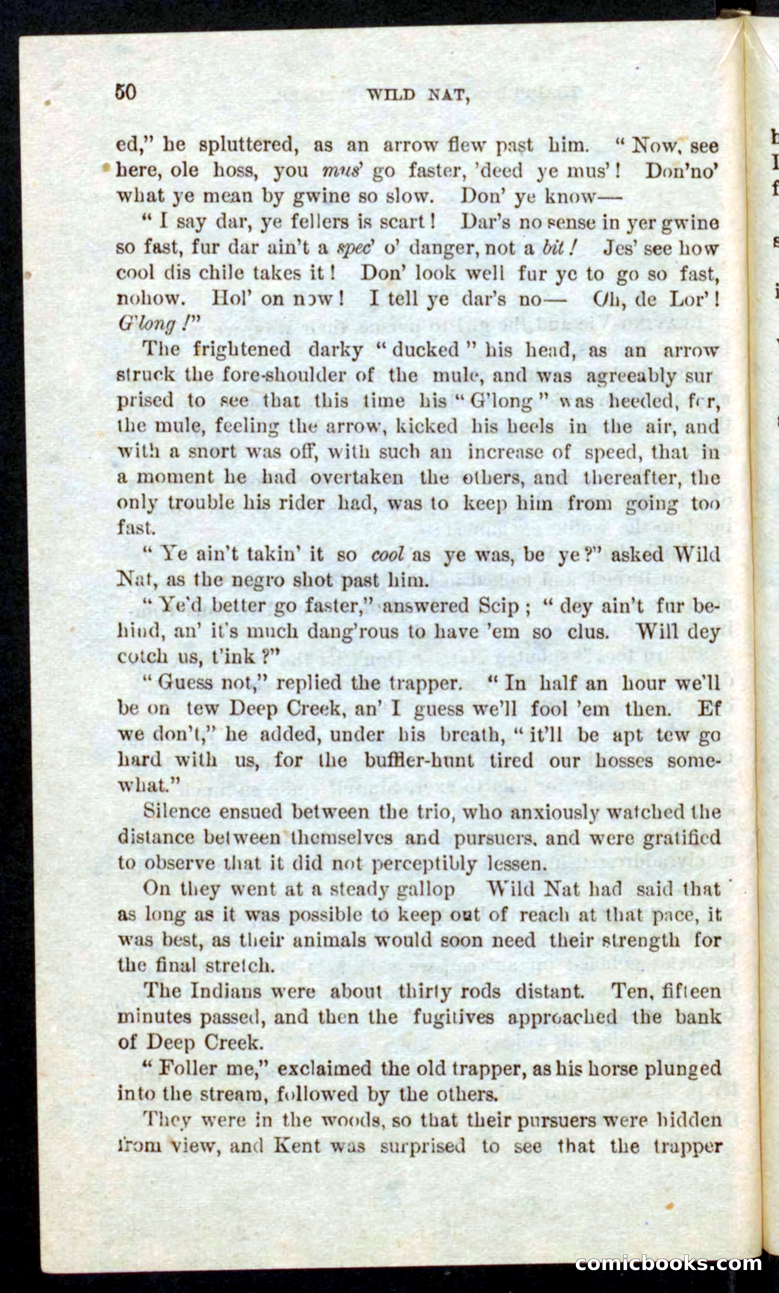 Beadle's Pocket Novels No. 41: Nat, the Trapper — page 46 of 84