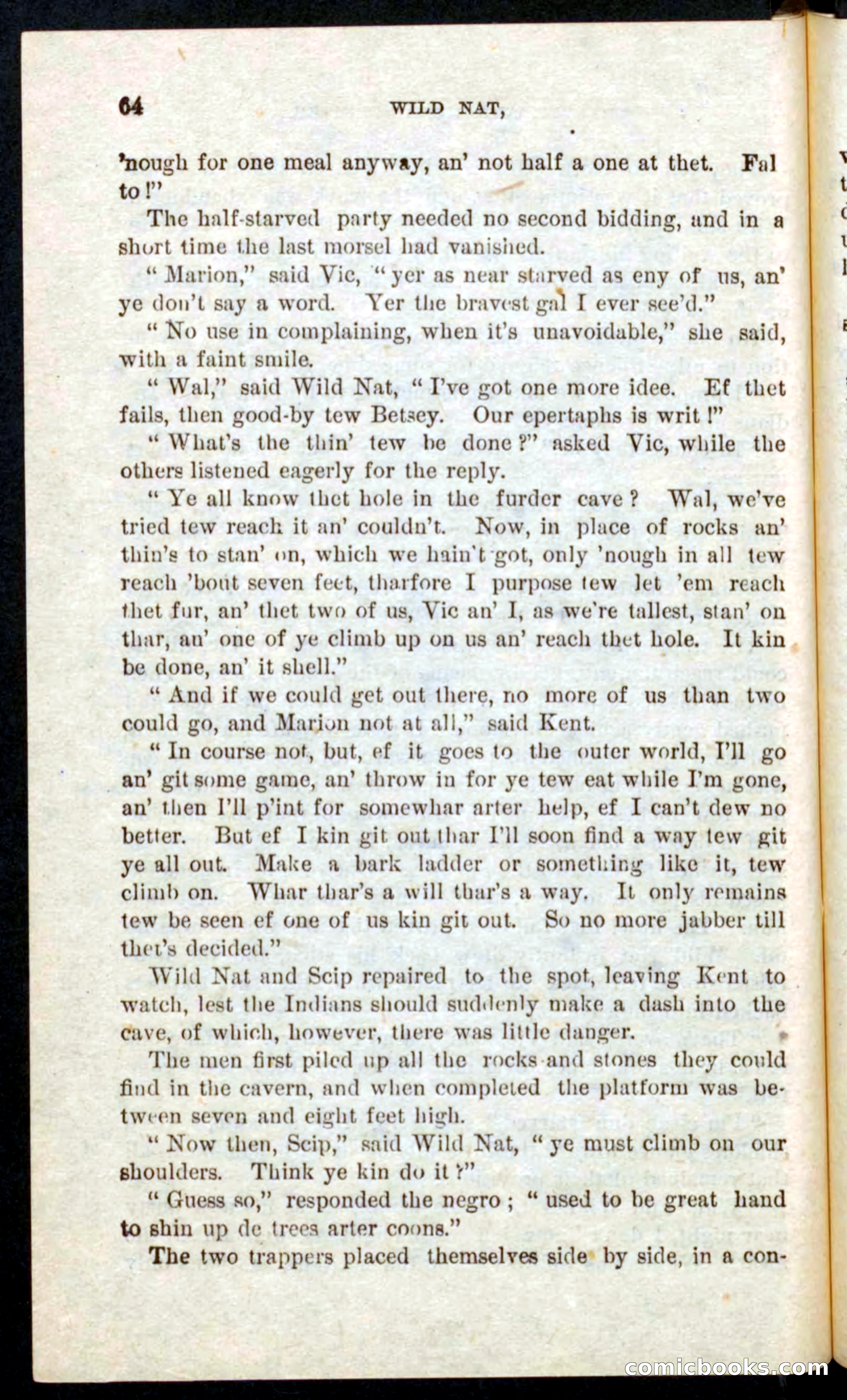 Beadle's Pocket Novels No. 41: Nat, the Trapper — page 60 of 84