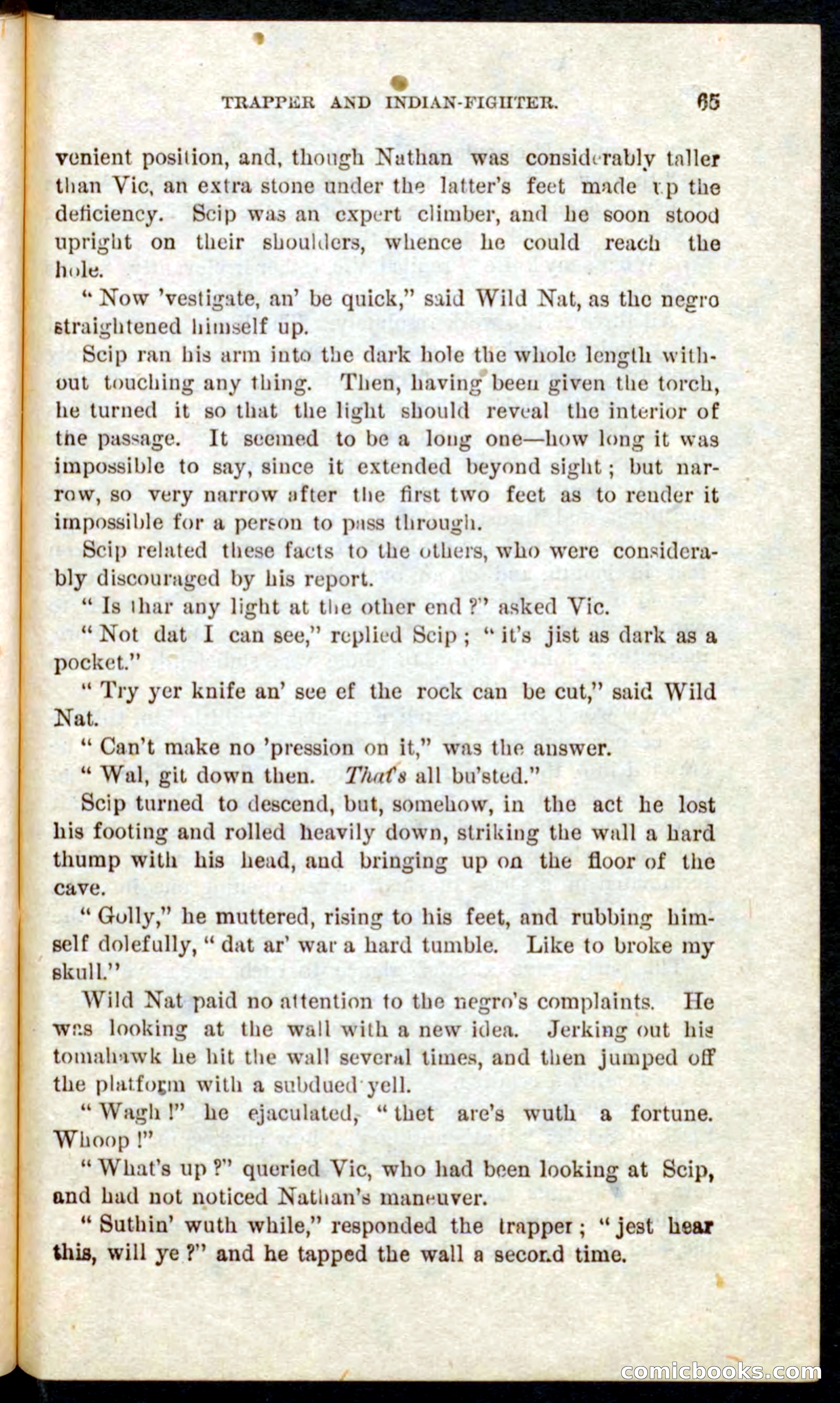 Beadle's Pocket Novels No. 41: Nat, the Trapper — page 61 of 84