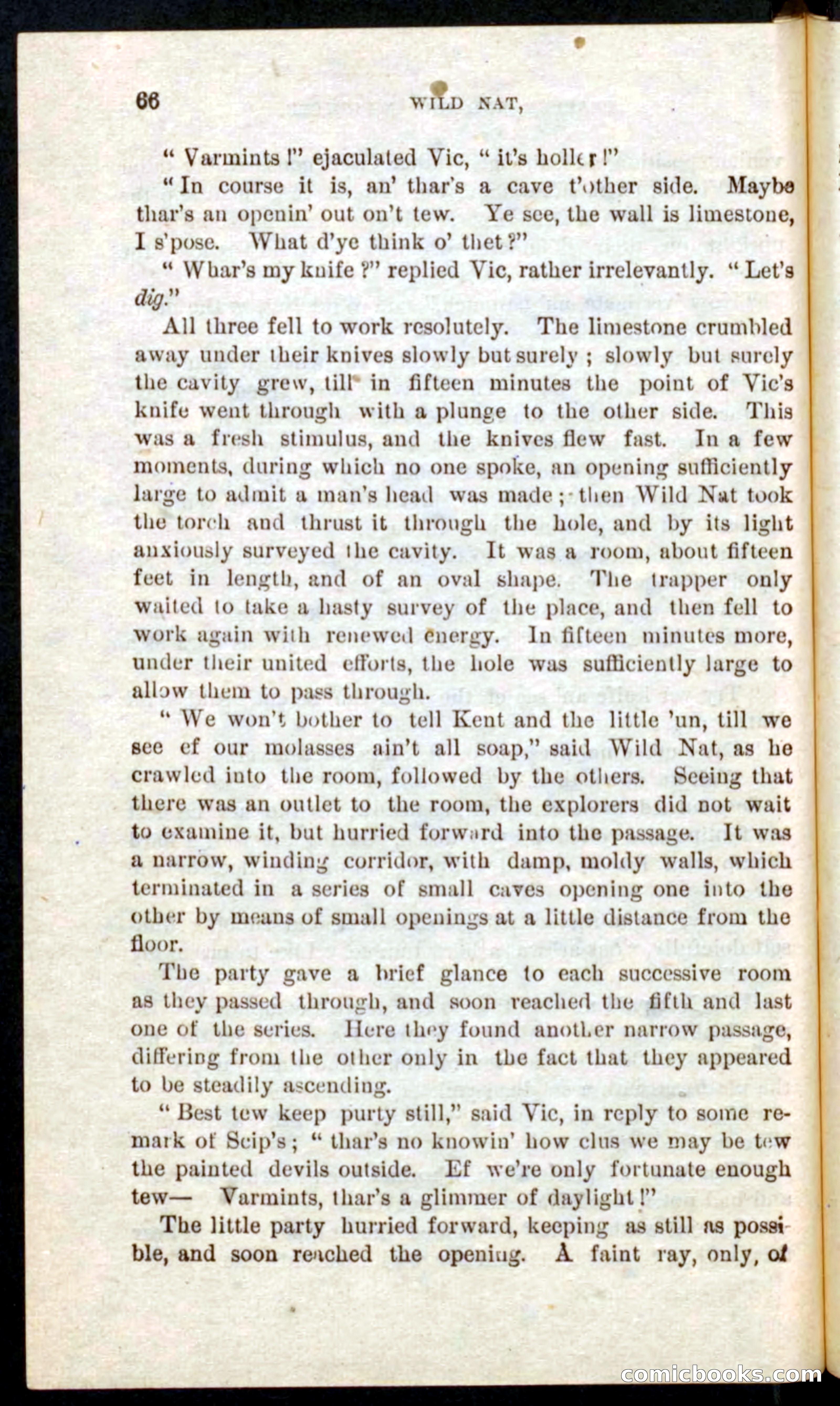 Beadle's Pocket Novels No. 41: Nat, the Trapper — page 62 of 84