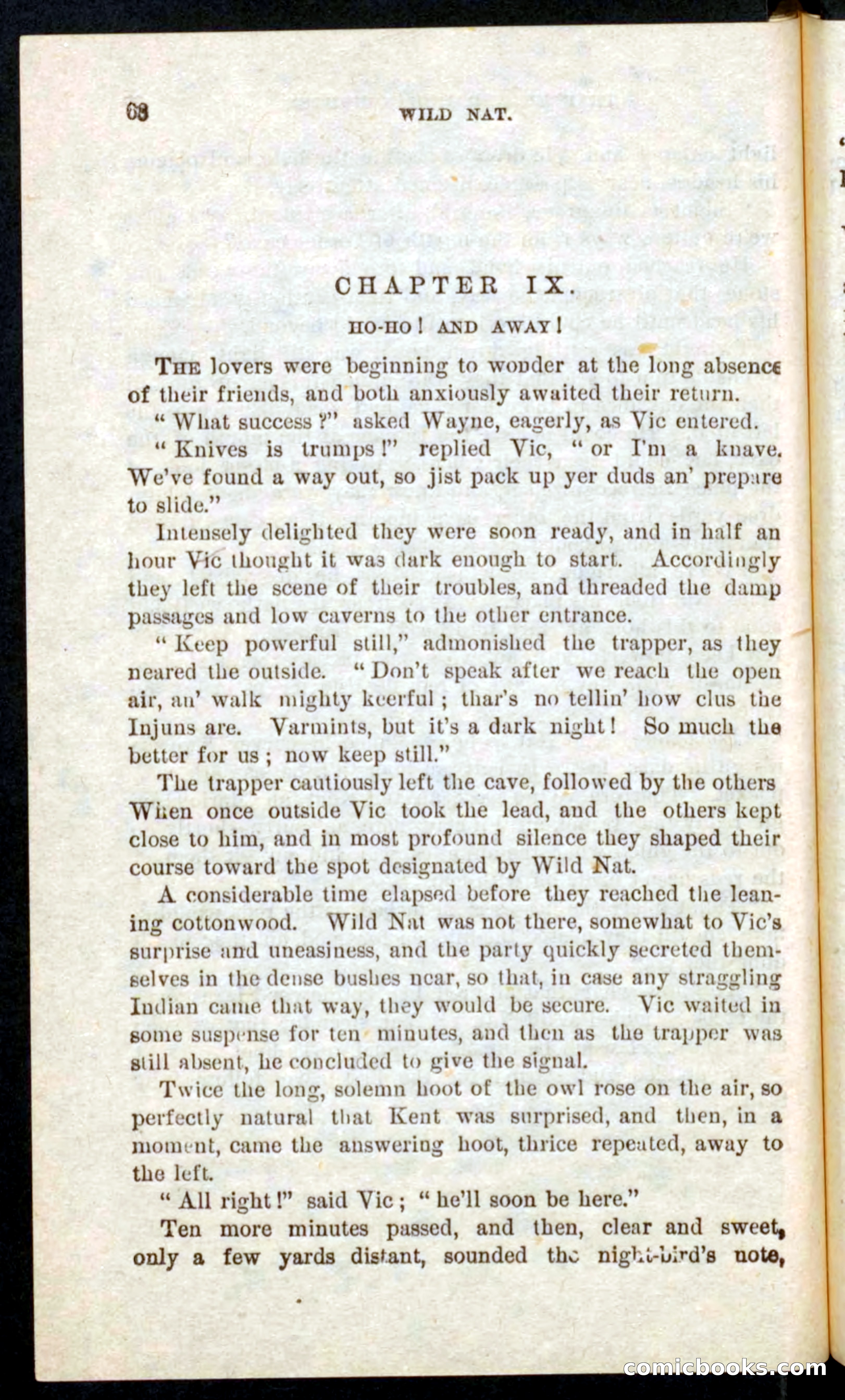 Beadle's Pocket Novels No. 41: Nat, the Trapper — page 64 of 84