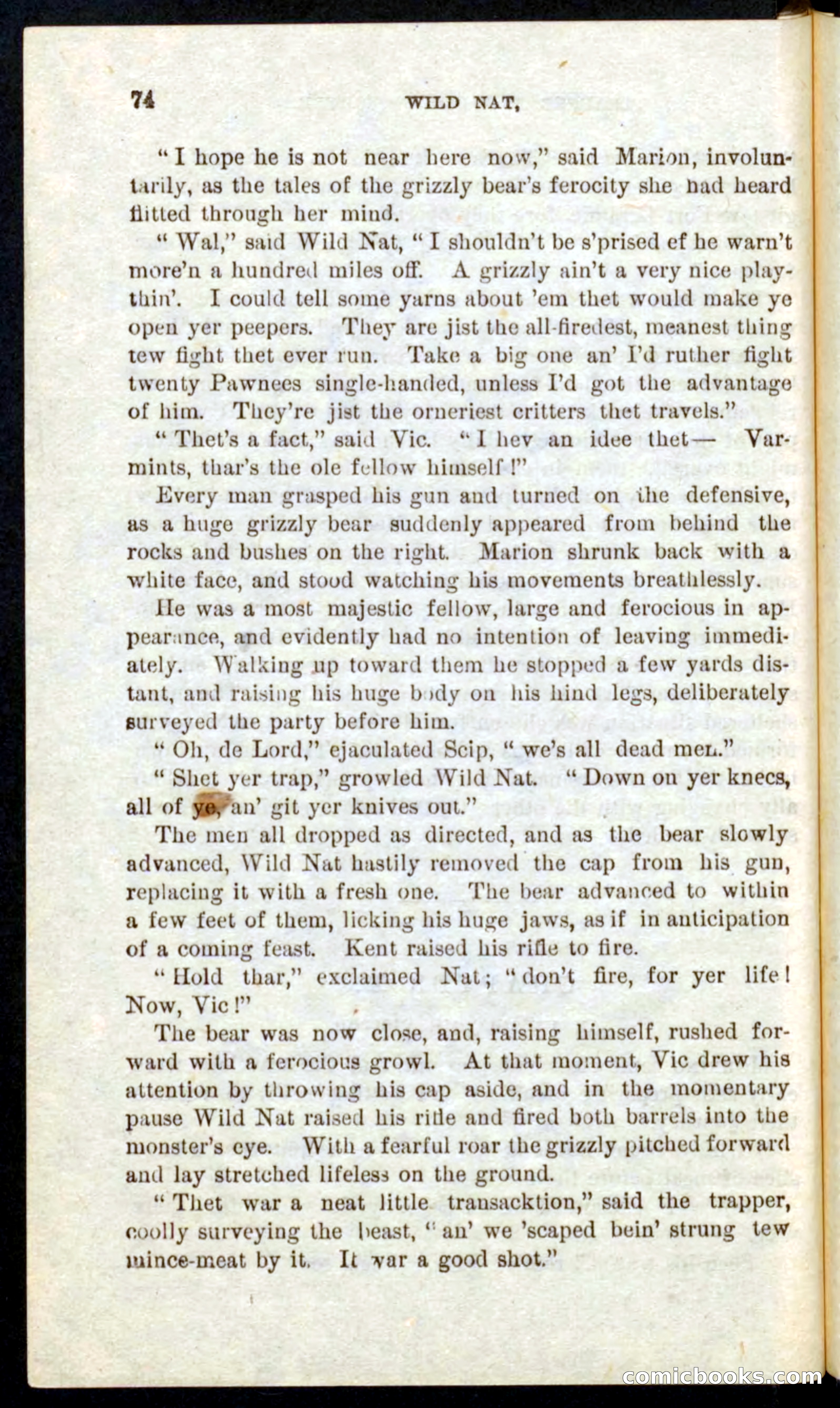 Beadle's Pocket Novels No. 41: Nat, the Trapper — page 70 of 84