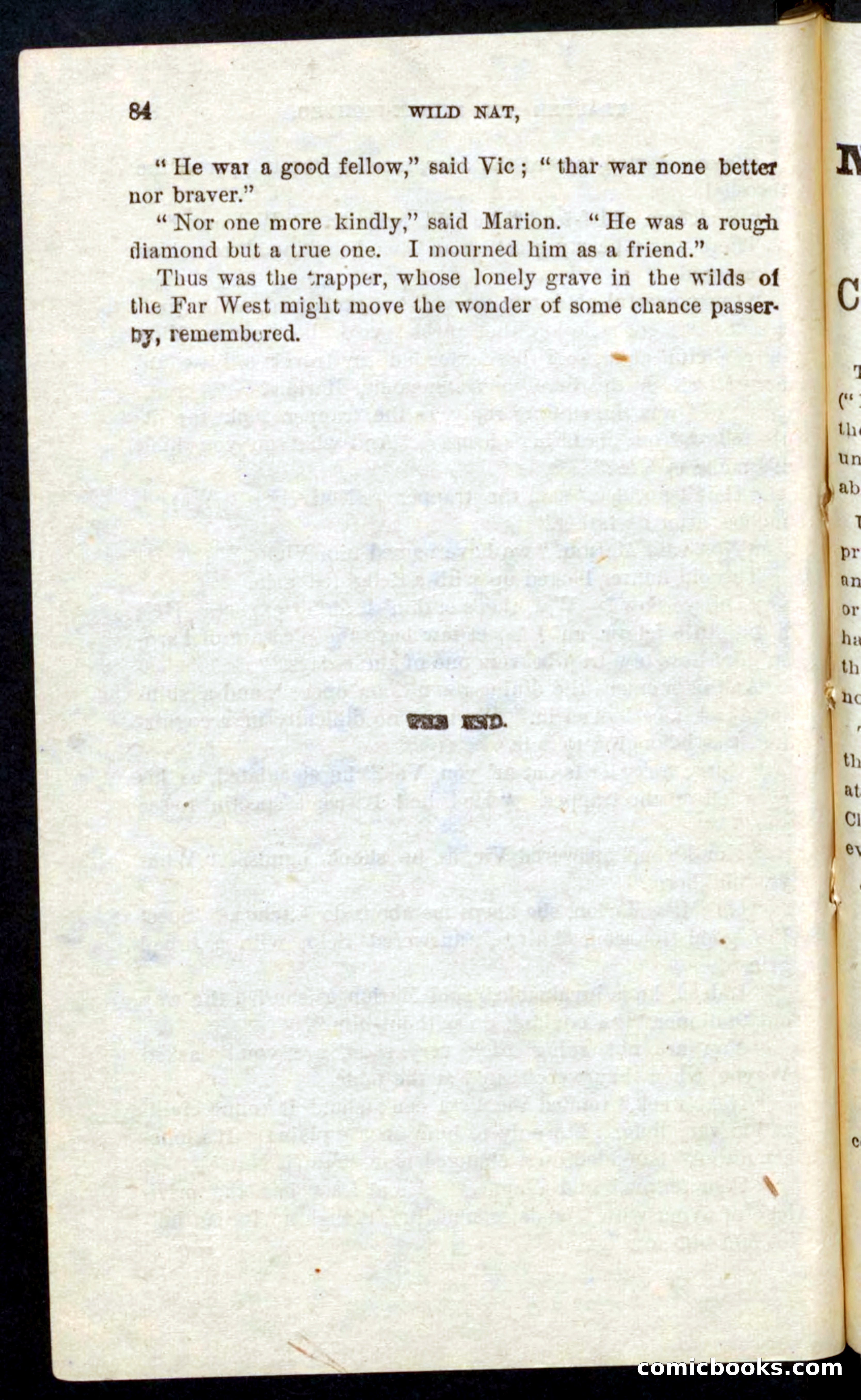 Beadle's Pocket Novels No. 41: Nat, the Trapper — page 80 of 84