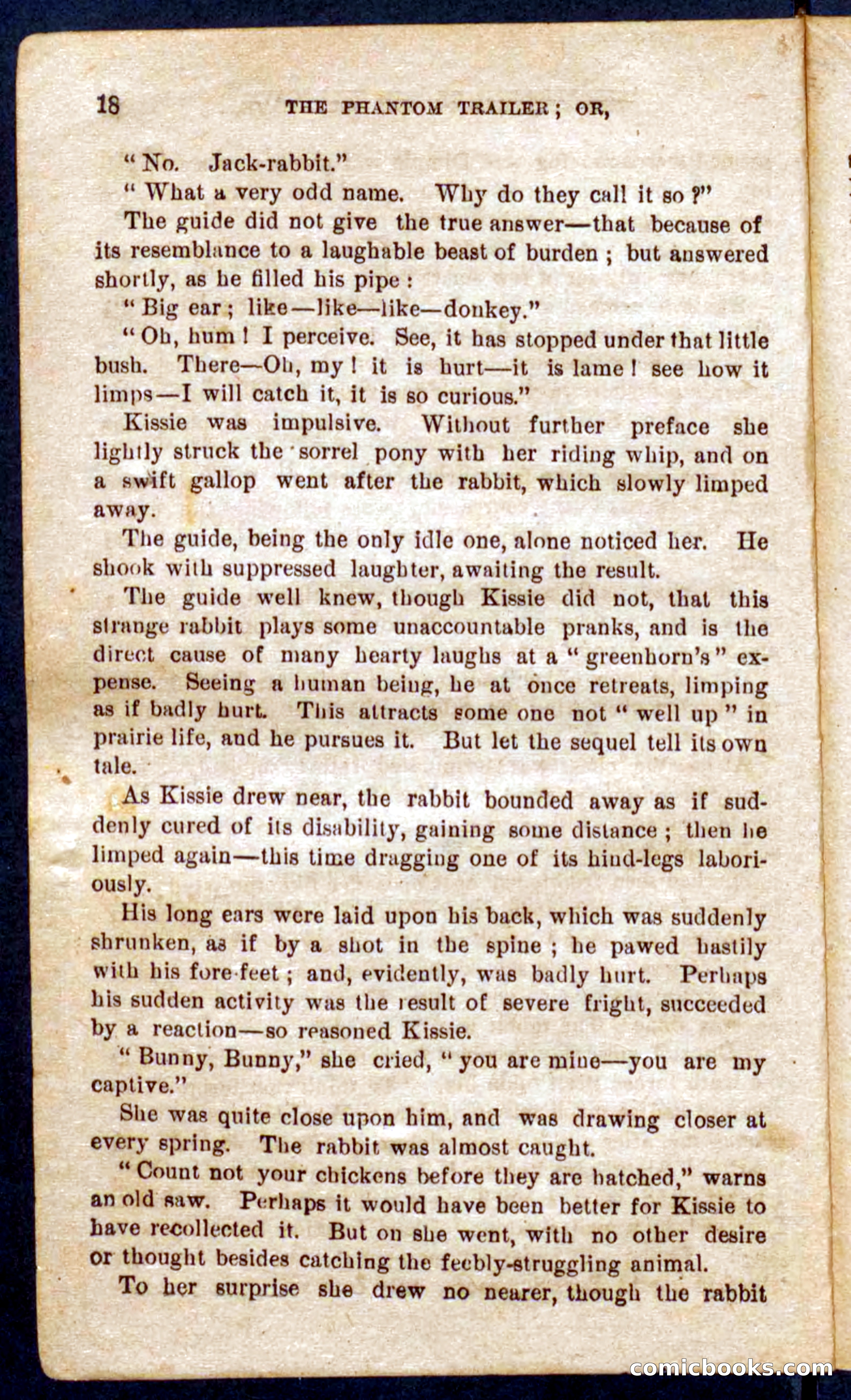 The Phantom Tracker — page 14 of 100