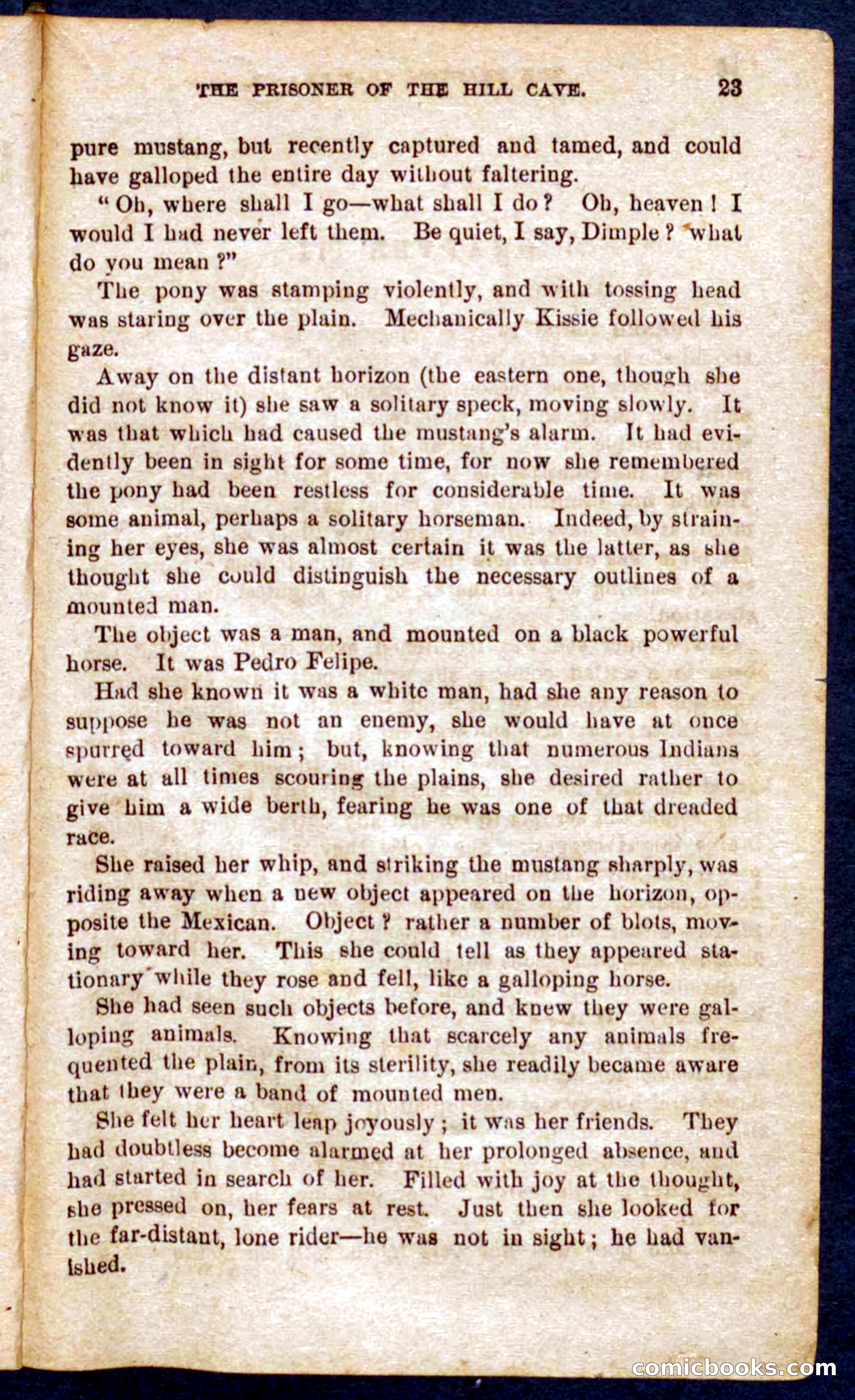 The Phantom Tracker — page 19 of 100