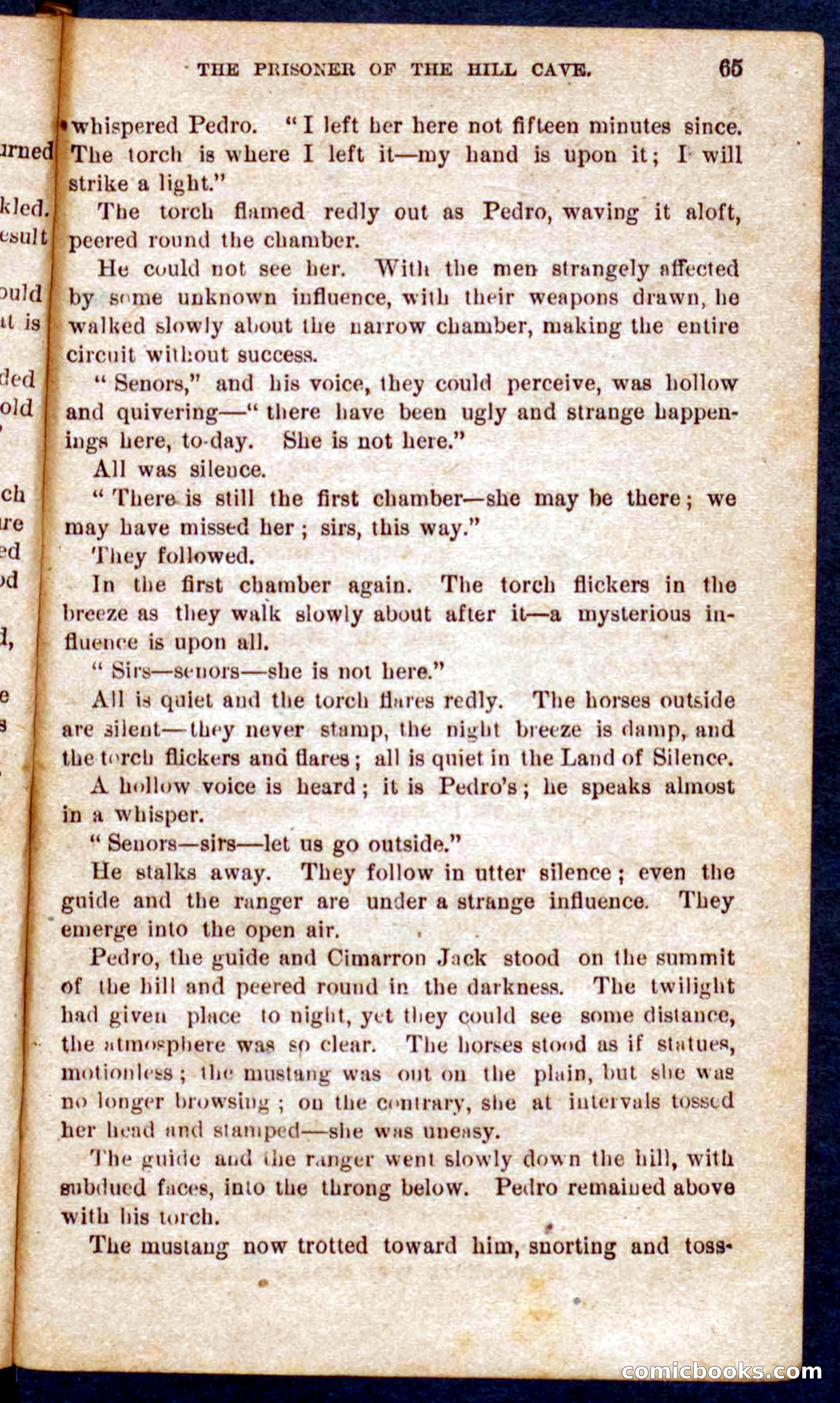 The Phantom Tracker — page 61 of 100