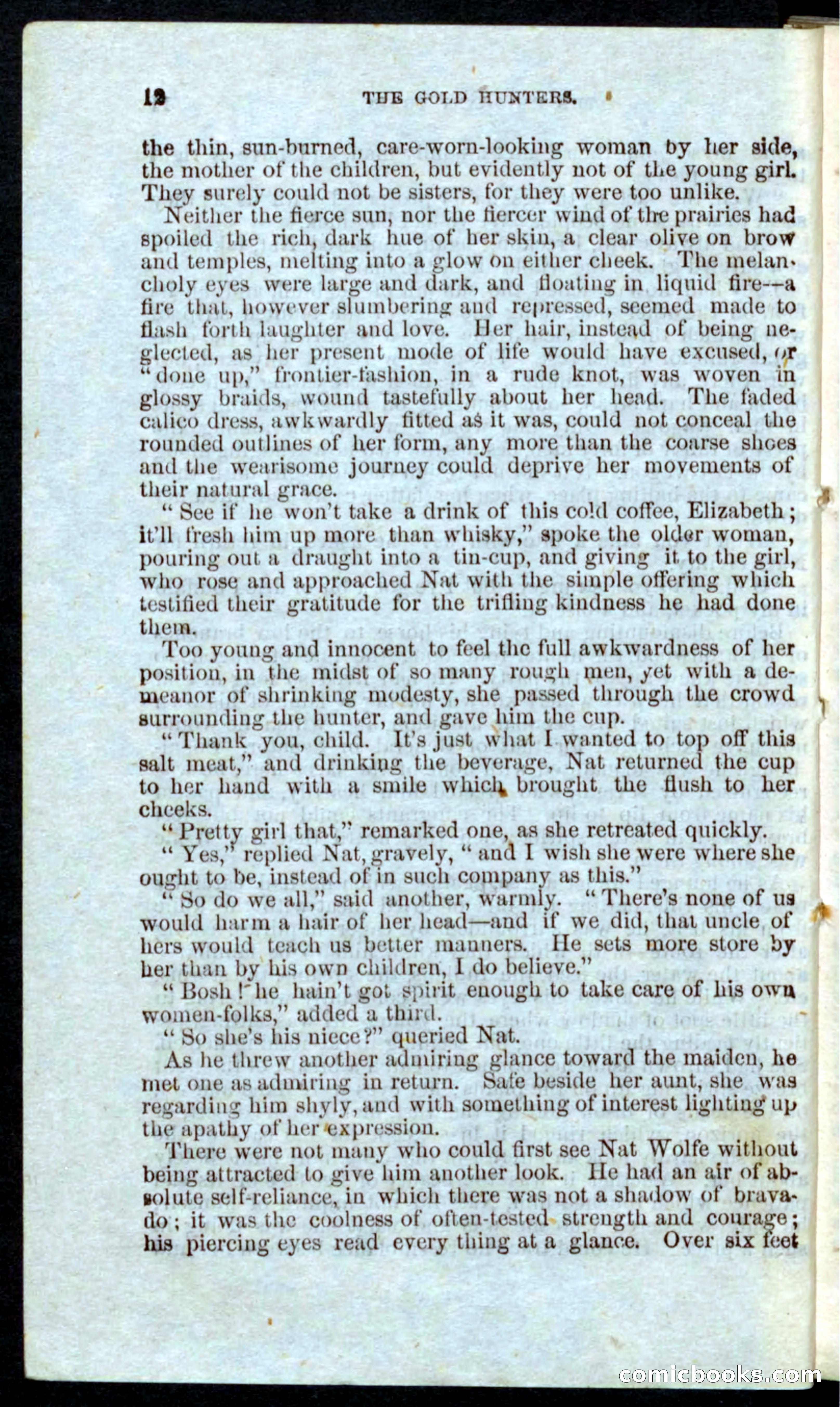 Beadle's Pocket Novels: Nat Wolfe — page 10 of 100