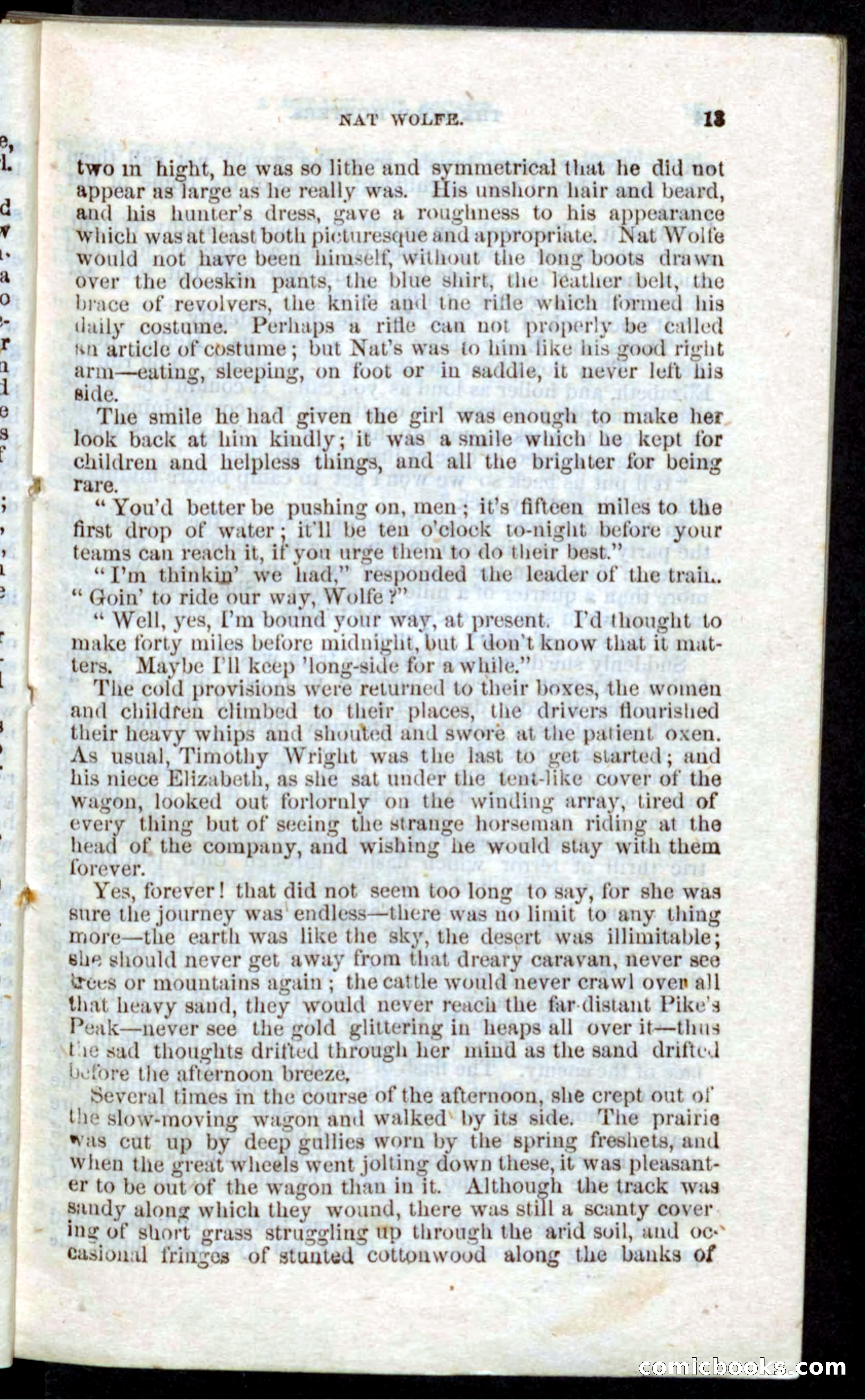 Beadle's Pocket Novels: Nat Wolfe — page 11 of 100