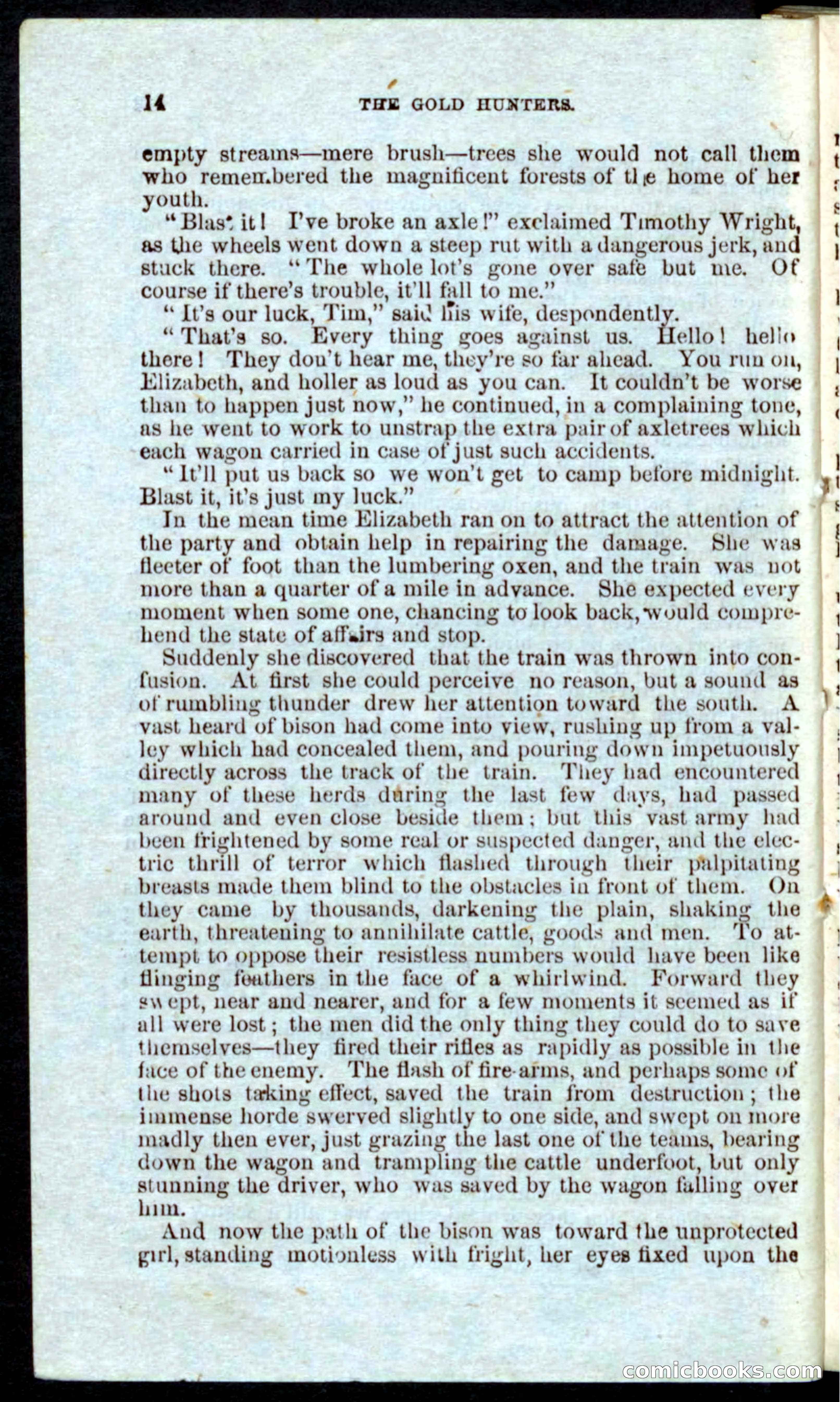 Beadle's Pocket Novels: Nat Wolfe — page 12 of 100