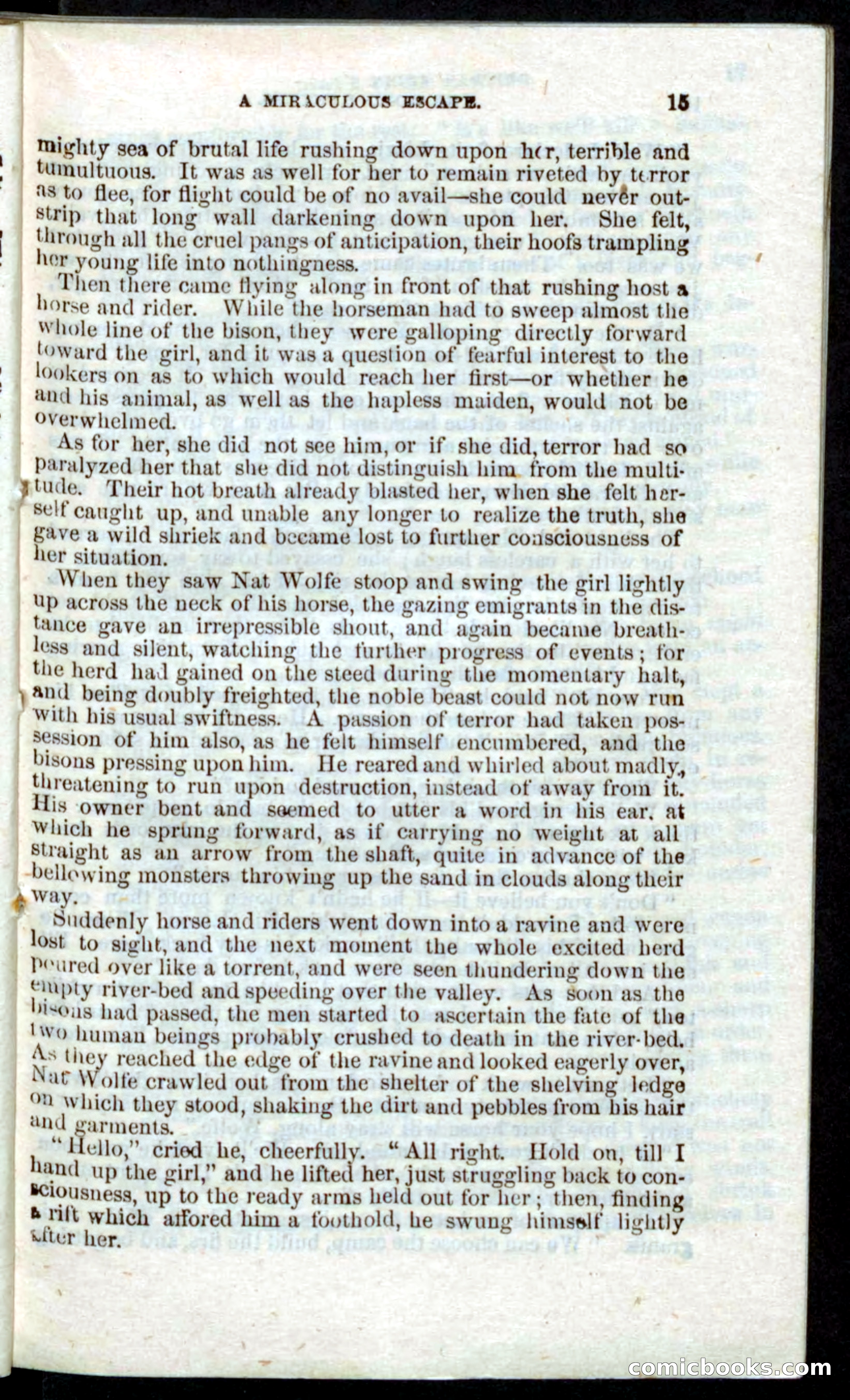 Beadle's Pocket Novels: Nat Wolfe — page 13 of 100
