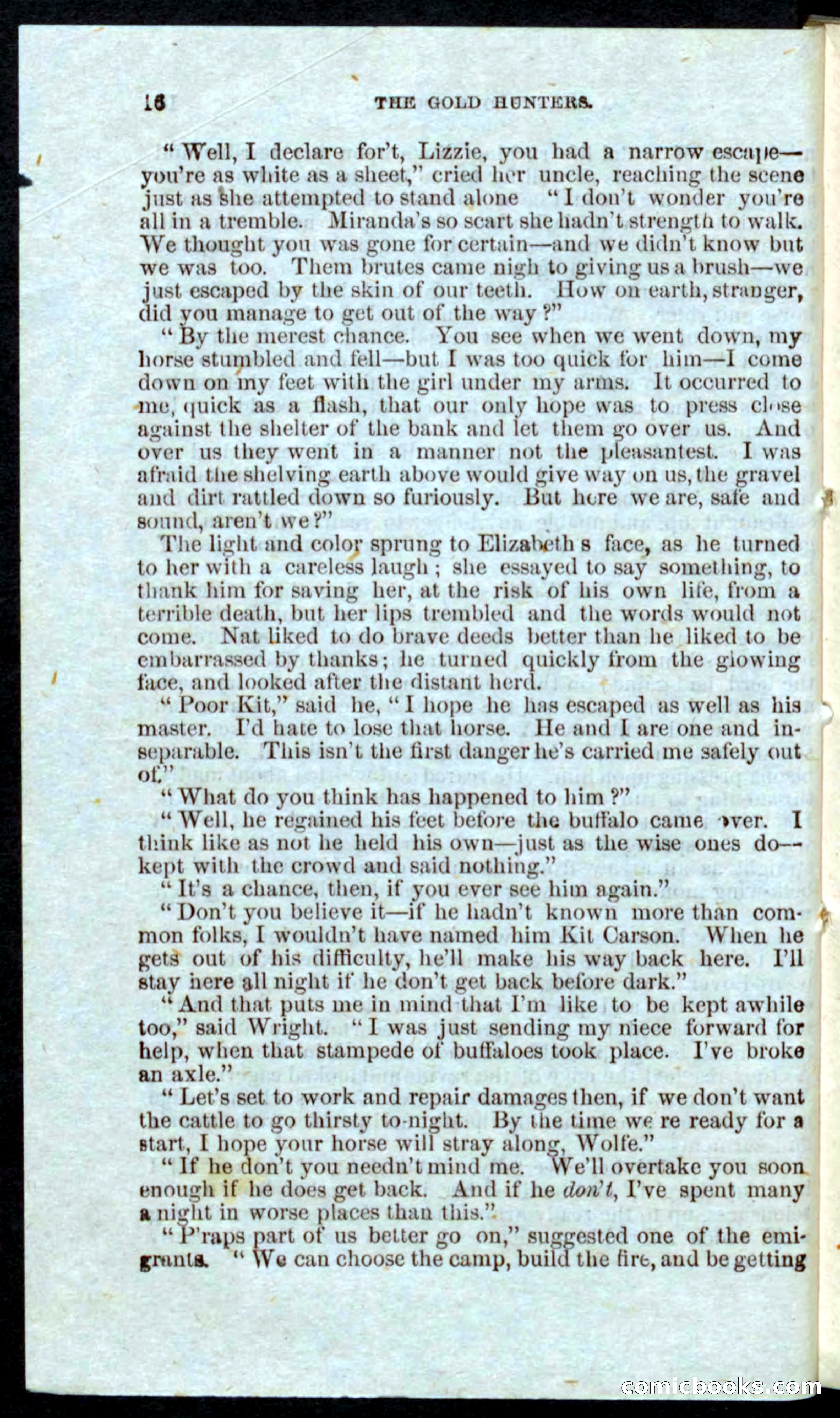 Beadle's Pocket Novels: Nat Wolfe — page 14 of 100