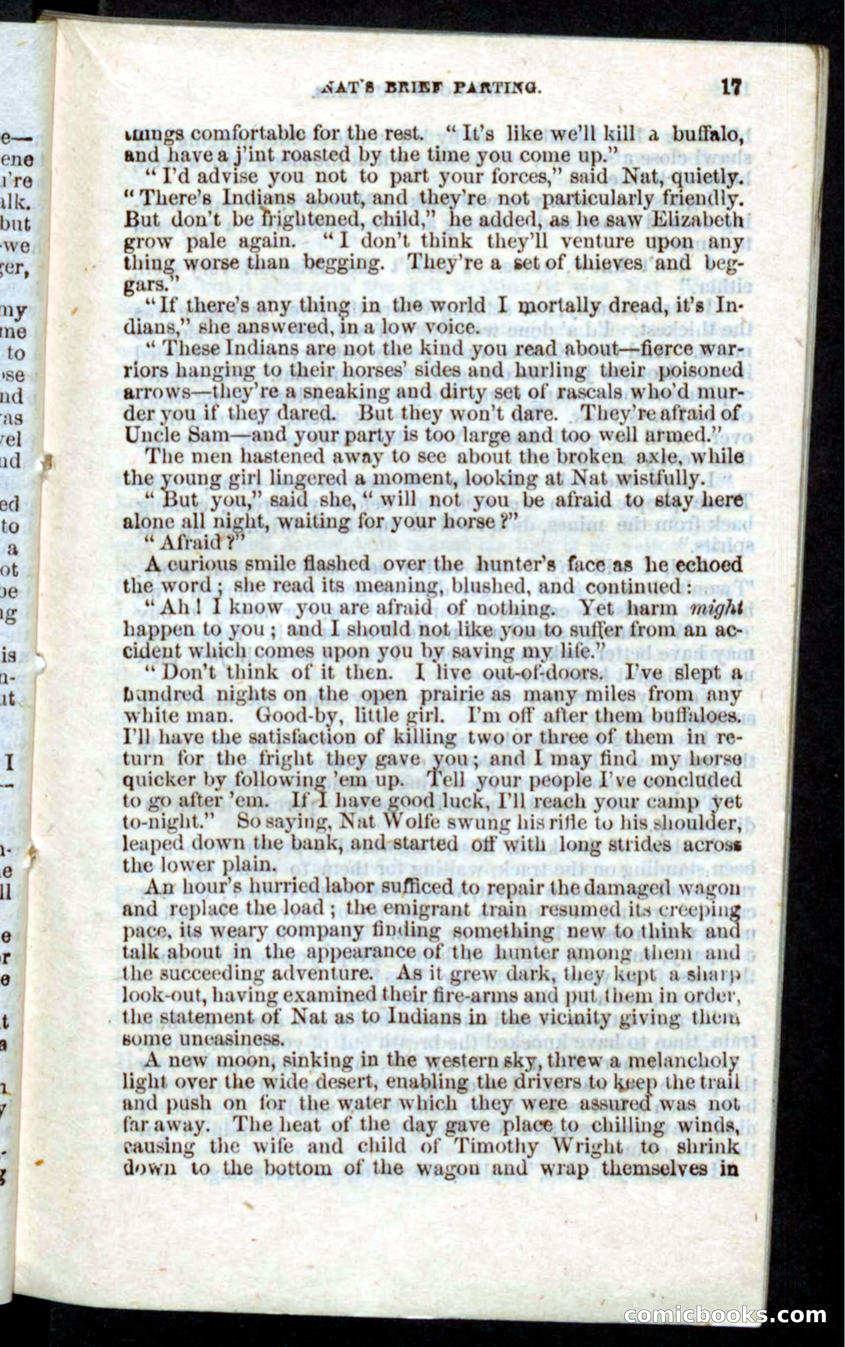 Beadle's Pocket Novels: Nat Wolfe — page 15 of 100