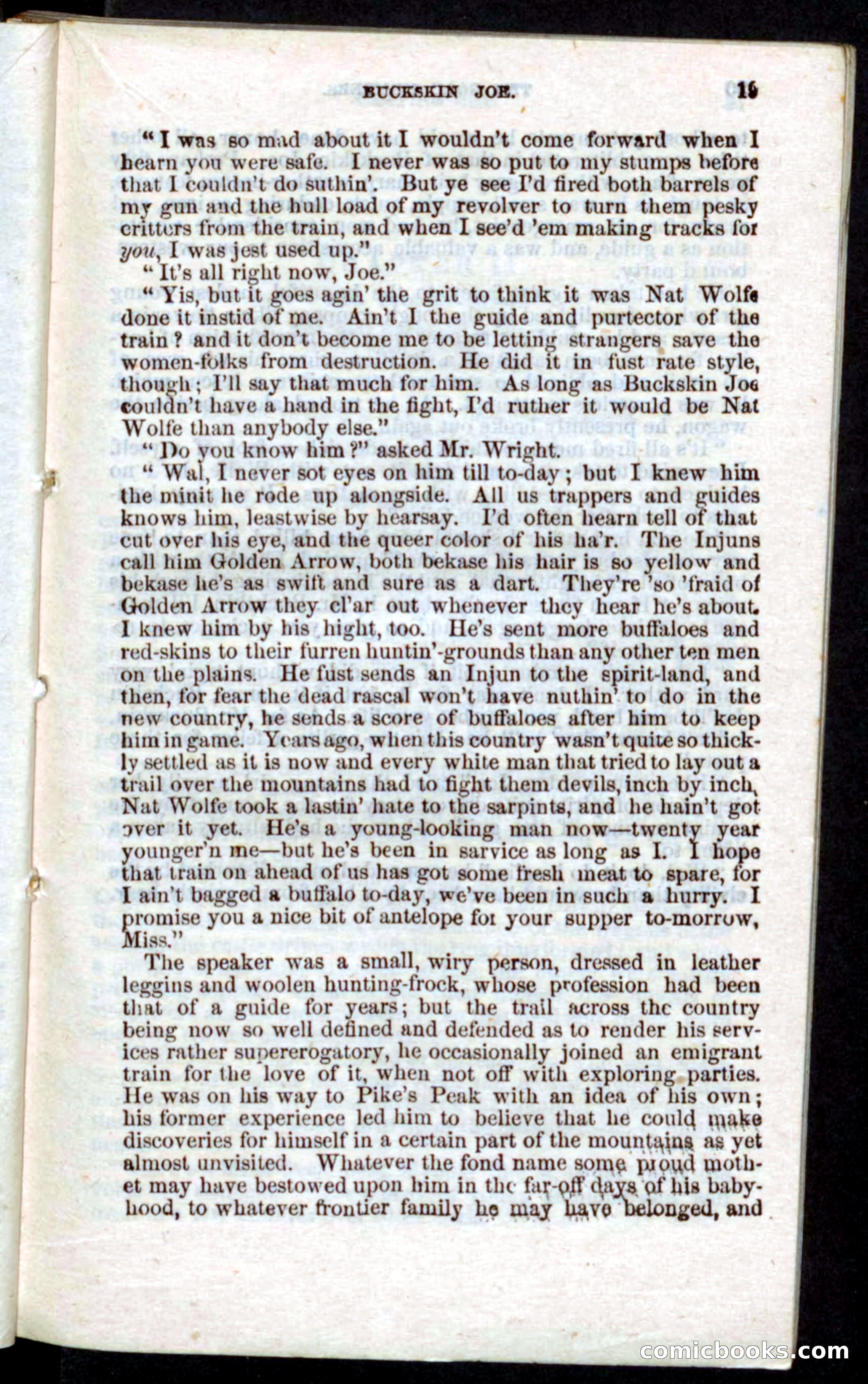 Beadle's Pocket Novels: Nat Wolfe — page 17 of 100