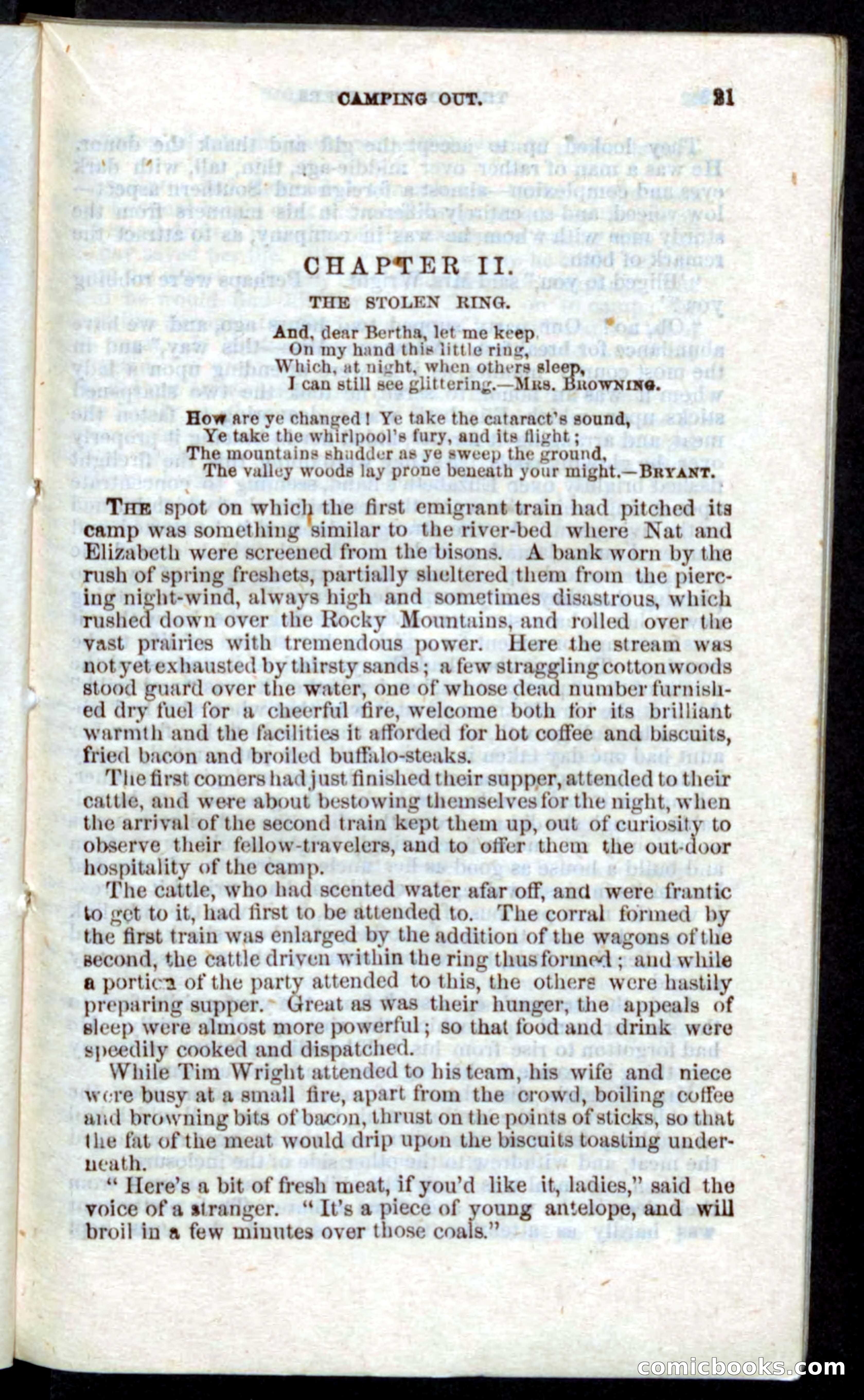 Beadle's Pocket Novels: Nat Wolfe — page 19 of 100
