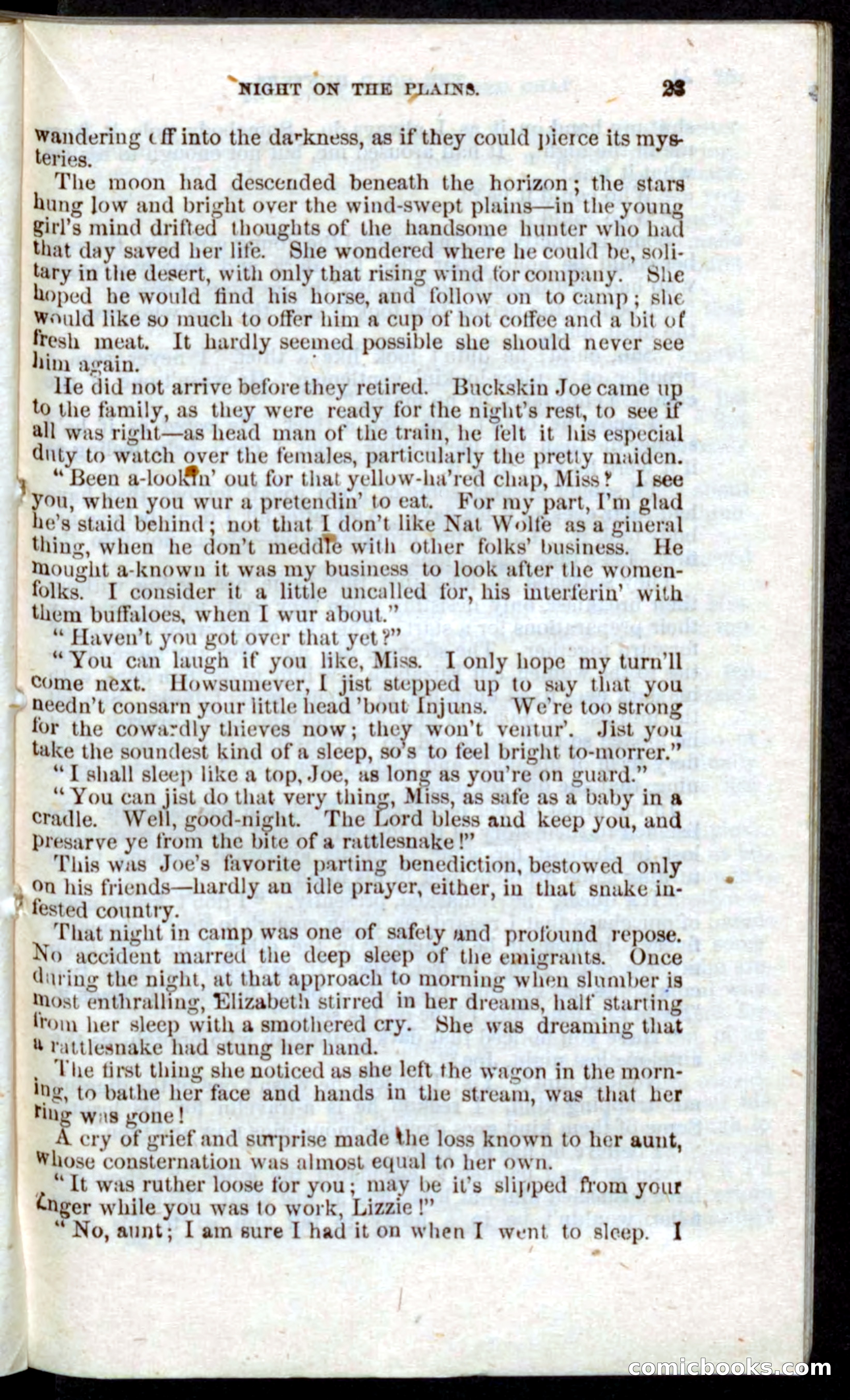 Beadle's Pocket Novels: Nat Wolfe — page 21 of 100