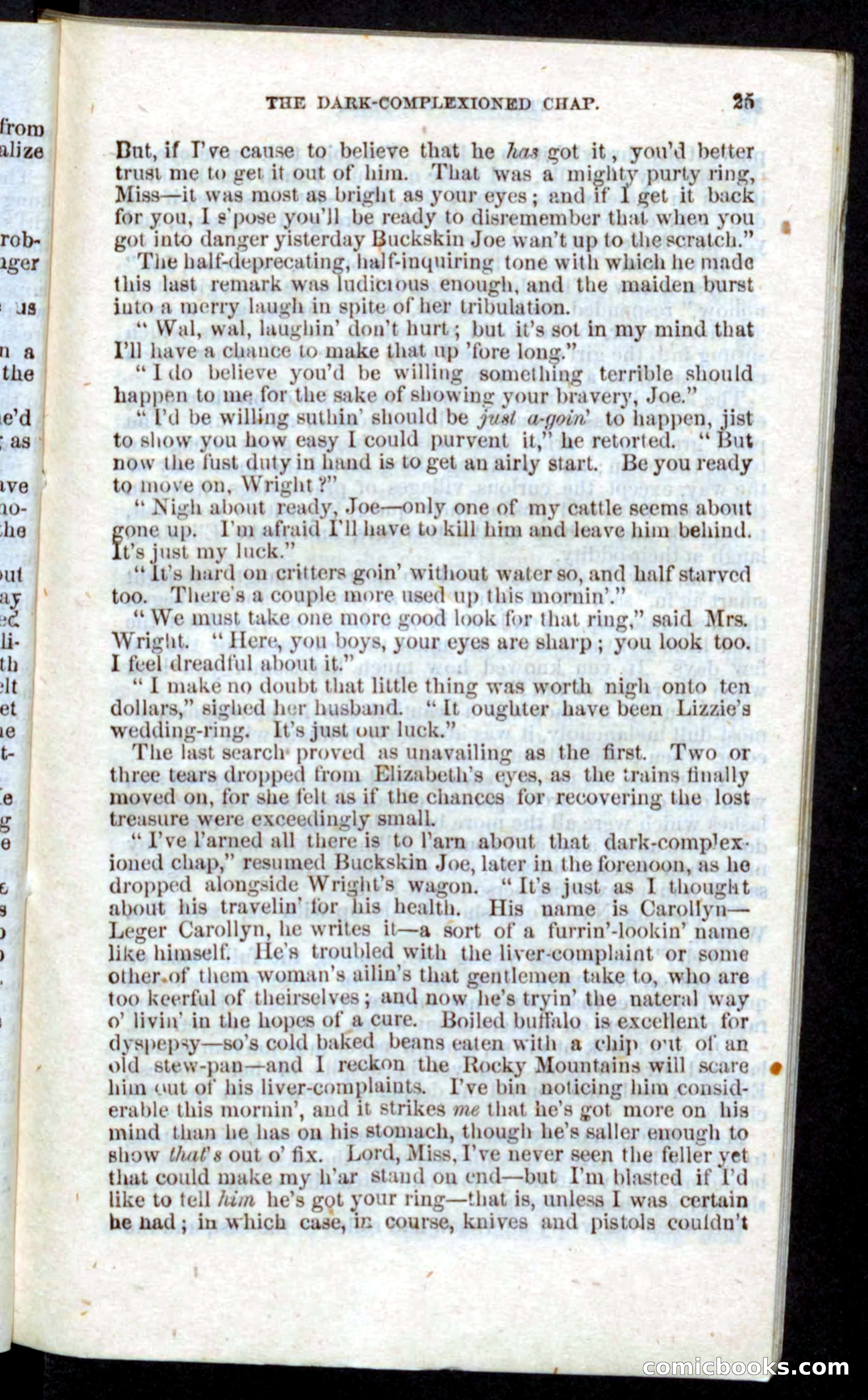 Beadle's Pocket Novels: Nat Wolfe — page 23 of 100