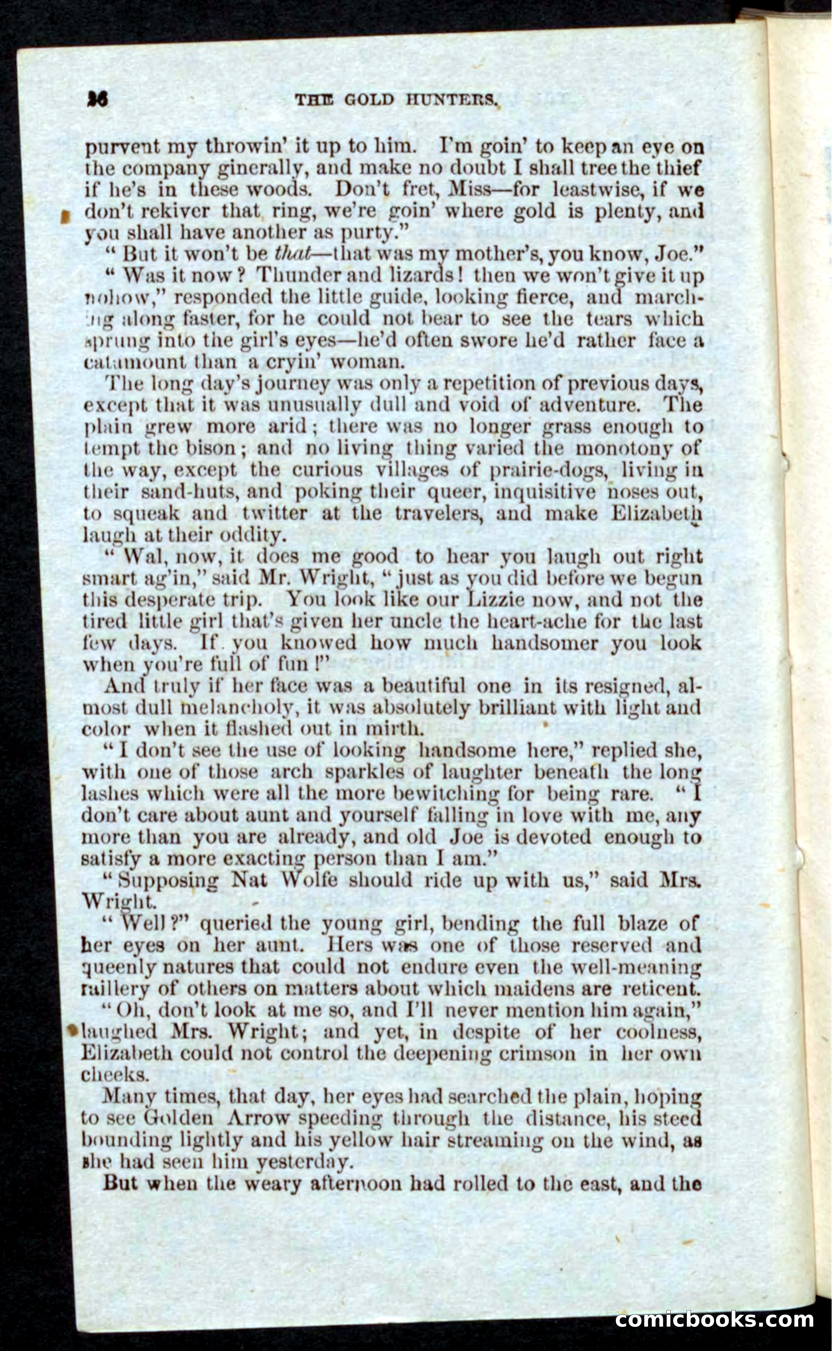 Beadle's Pocket Novels: Nat Wolfe — page 24 of 100