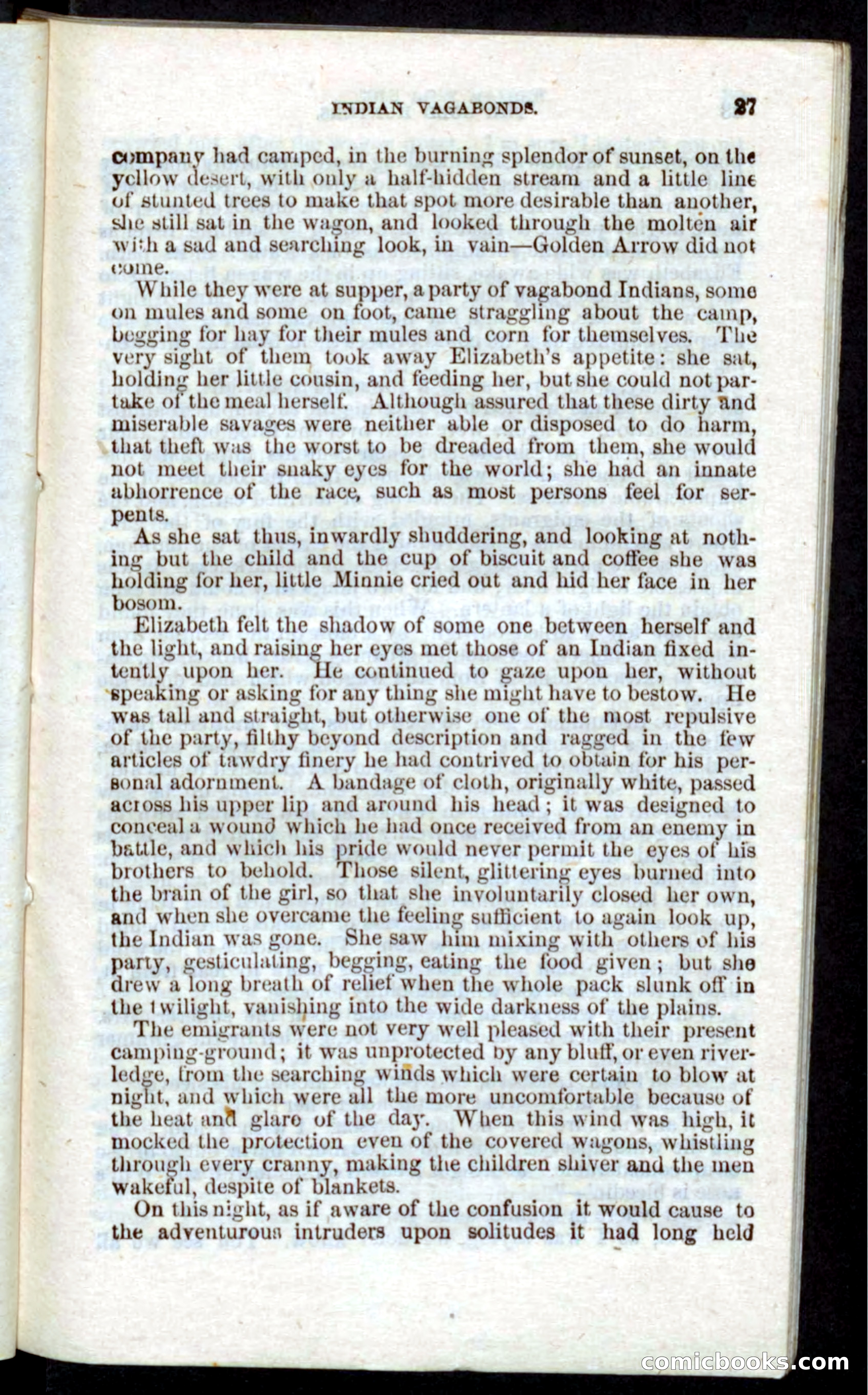 Beadle's Pocket Novels: Nat Wolfe — page 25 of 100