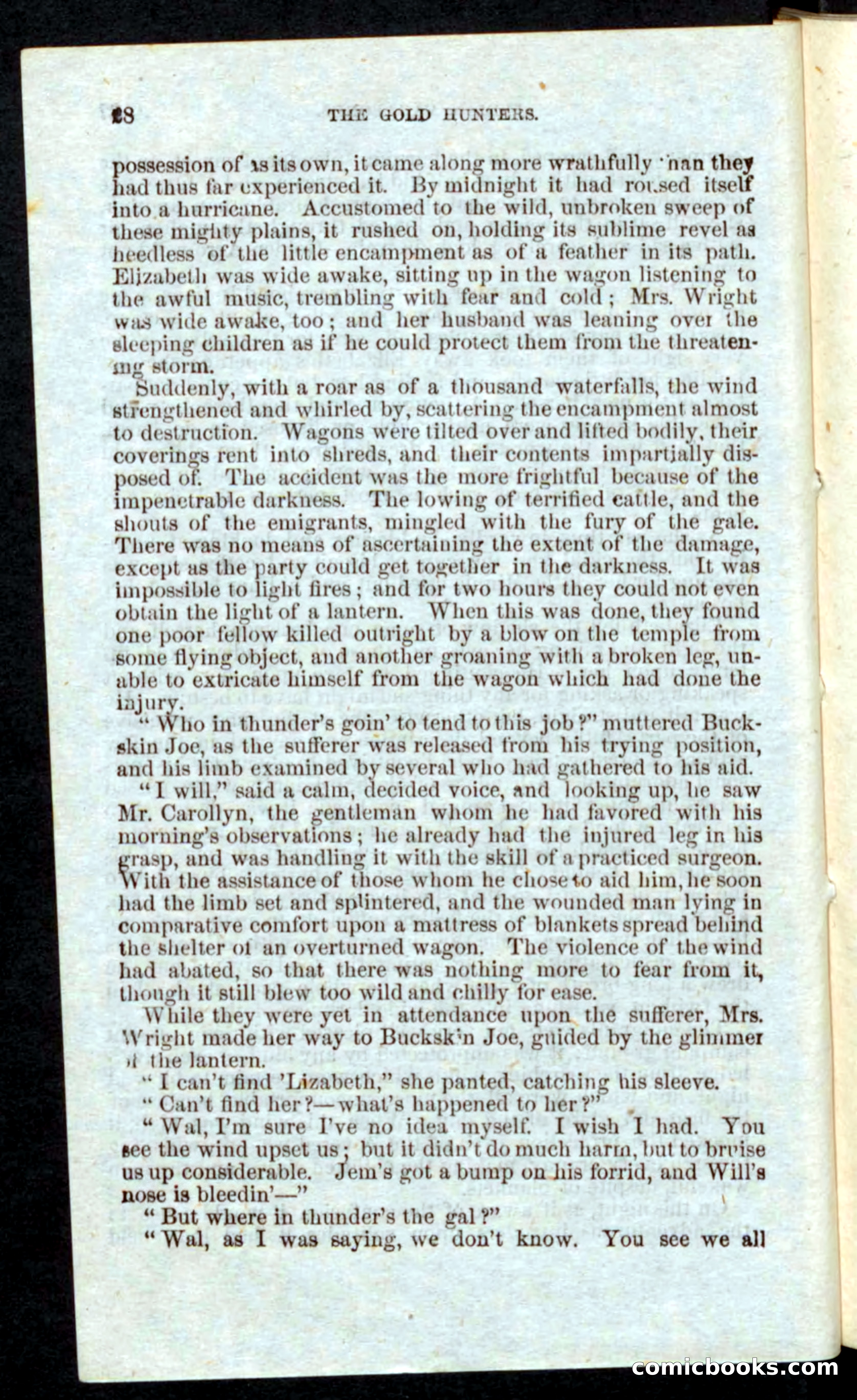 Beadle's Pocket Novels: Nat Wolfe — page 26 of 100