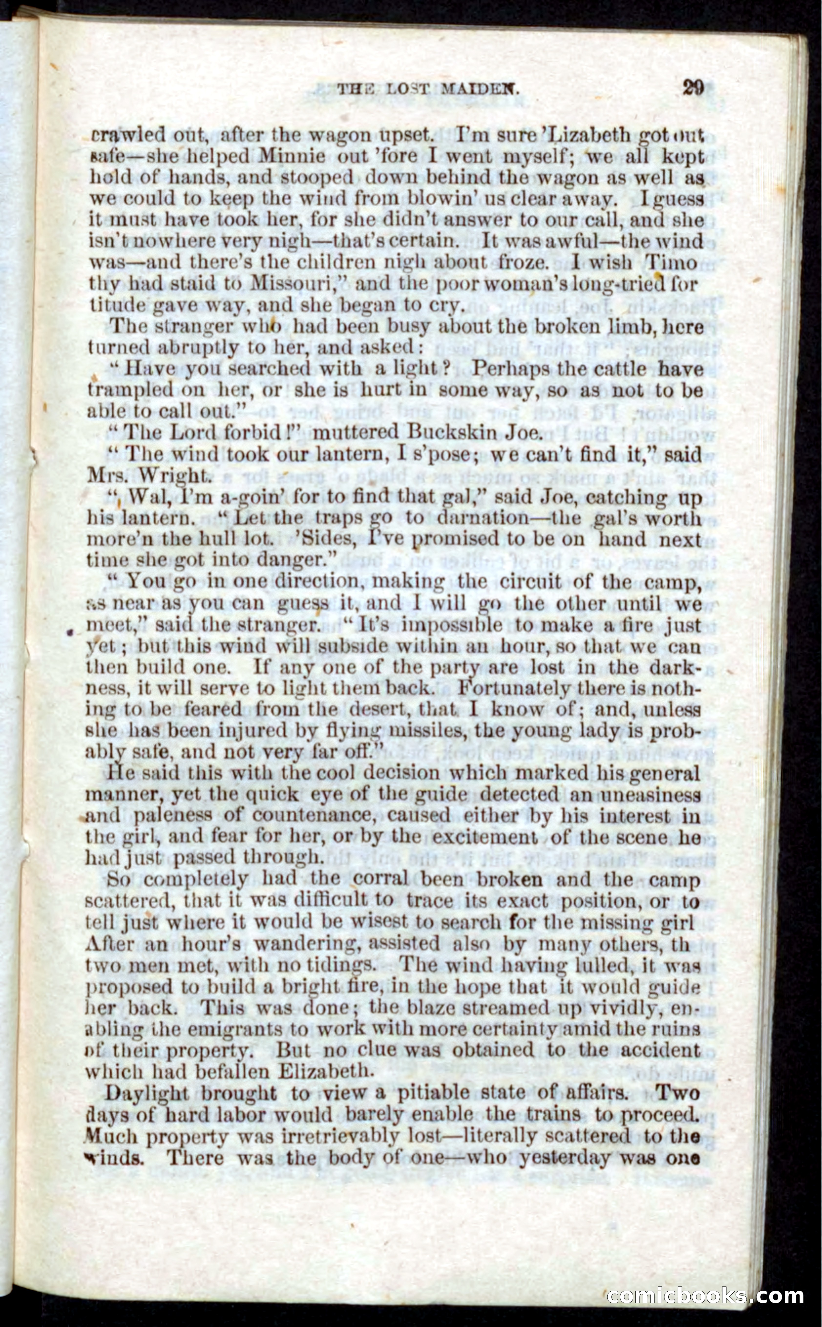 Beadle's Pocket Novels: Nat Wolfe — page 27 of 100